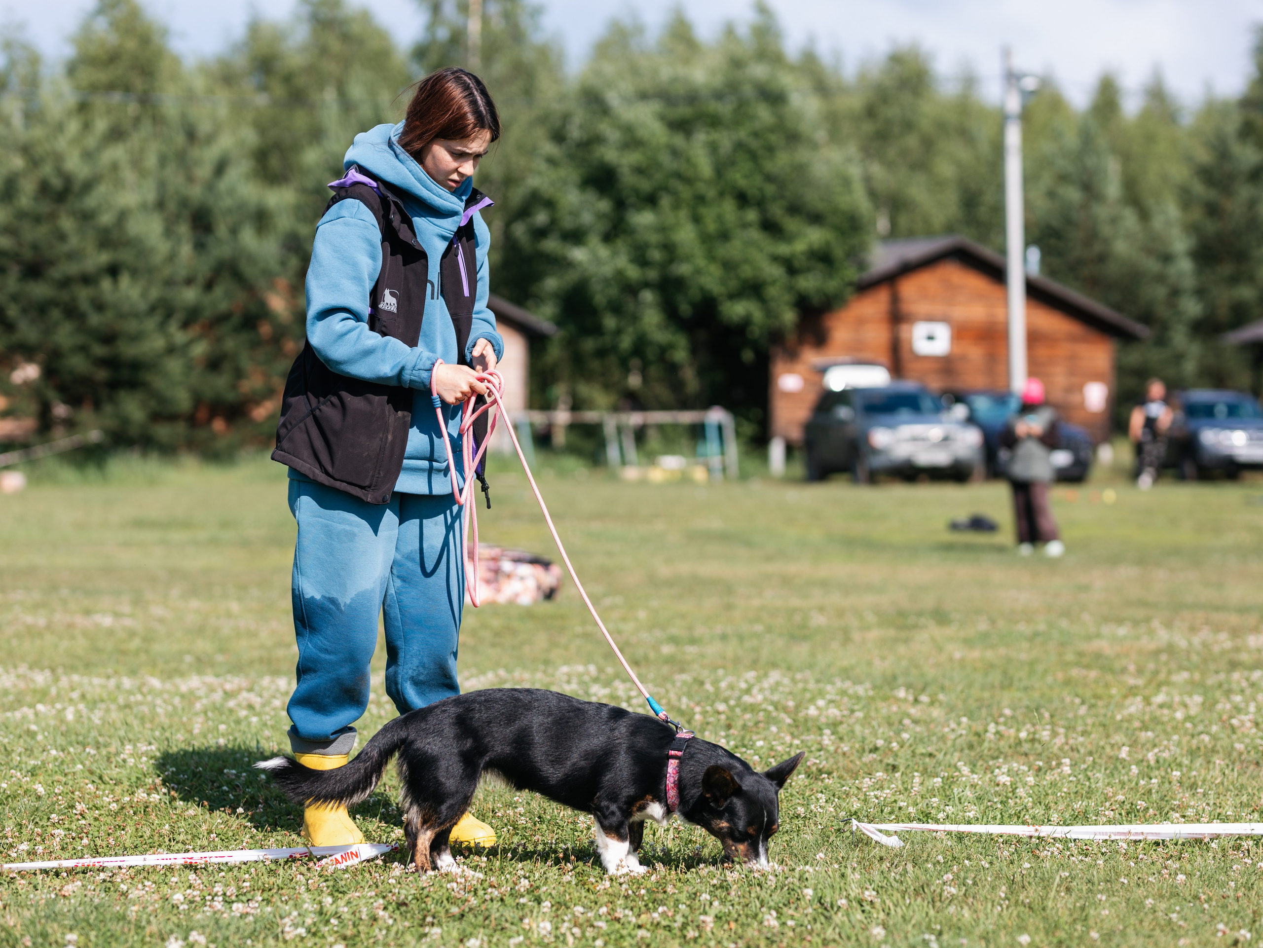Лагерь ноузворк. Фотограф-анималист в Москве Кириллова Татьяна