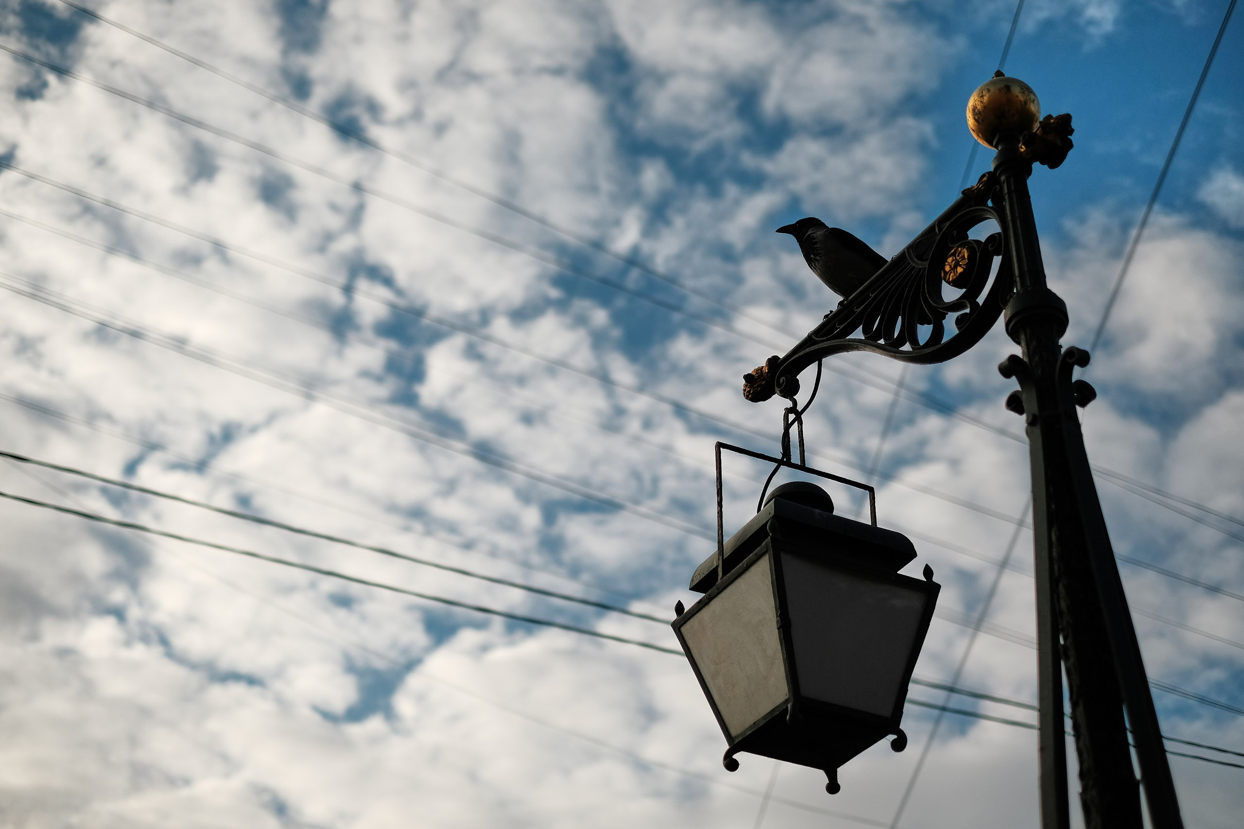 2021.10. Фотограф Алексей Алексеев