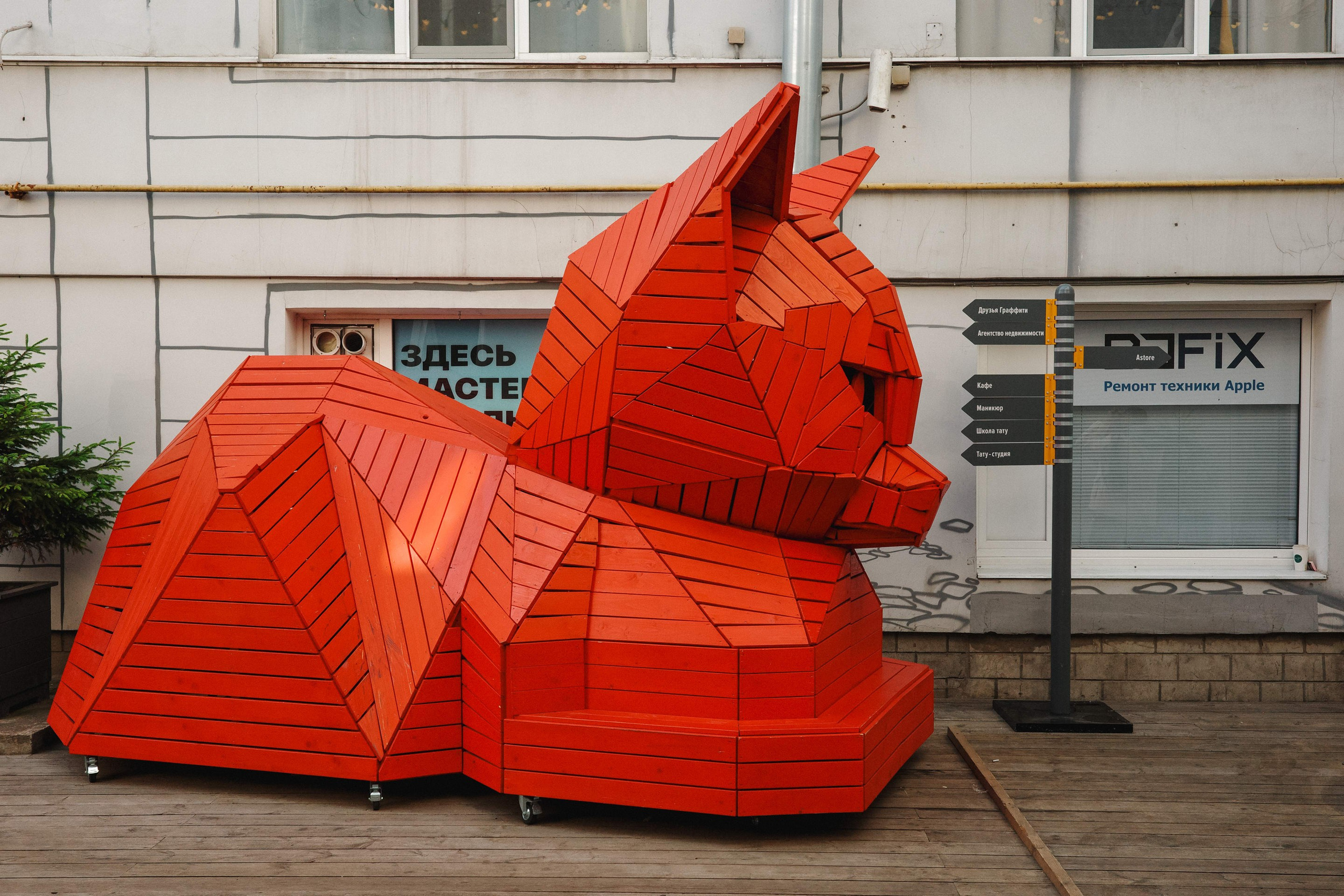 2025.06. Фотограф Алексей Алексеев