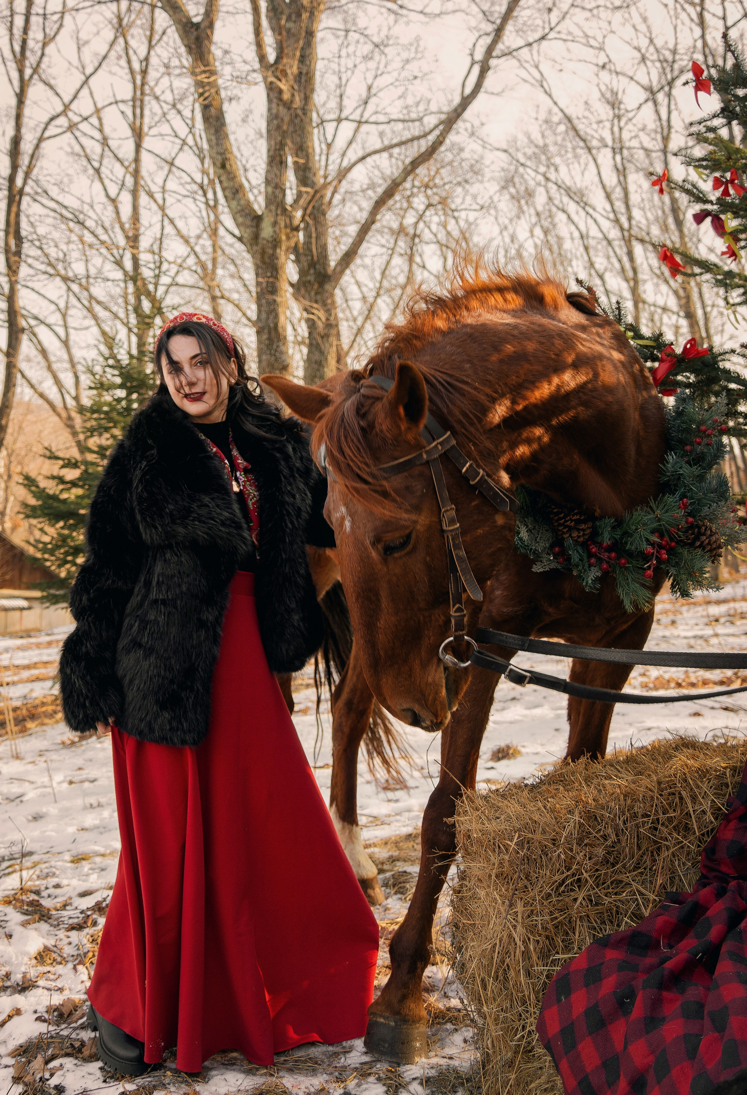 Фотодень «Символ 2026 года». Семейный фотограф анималист г. Находка