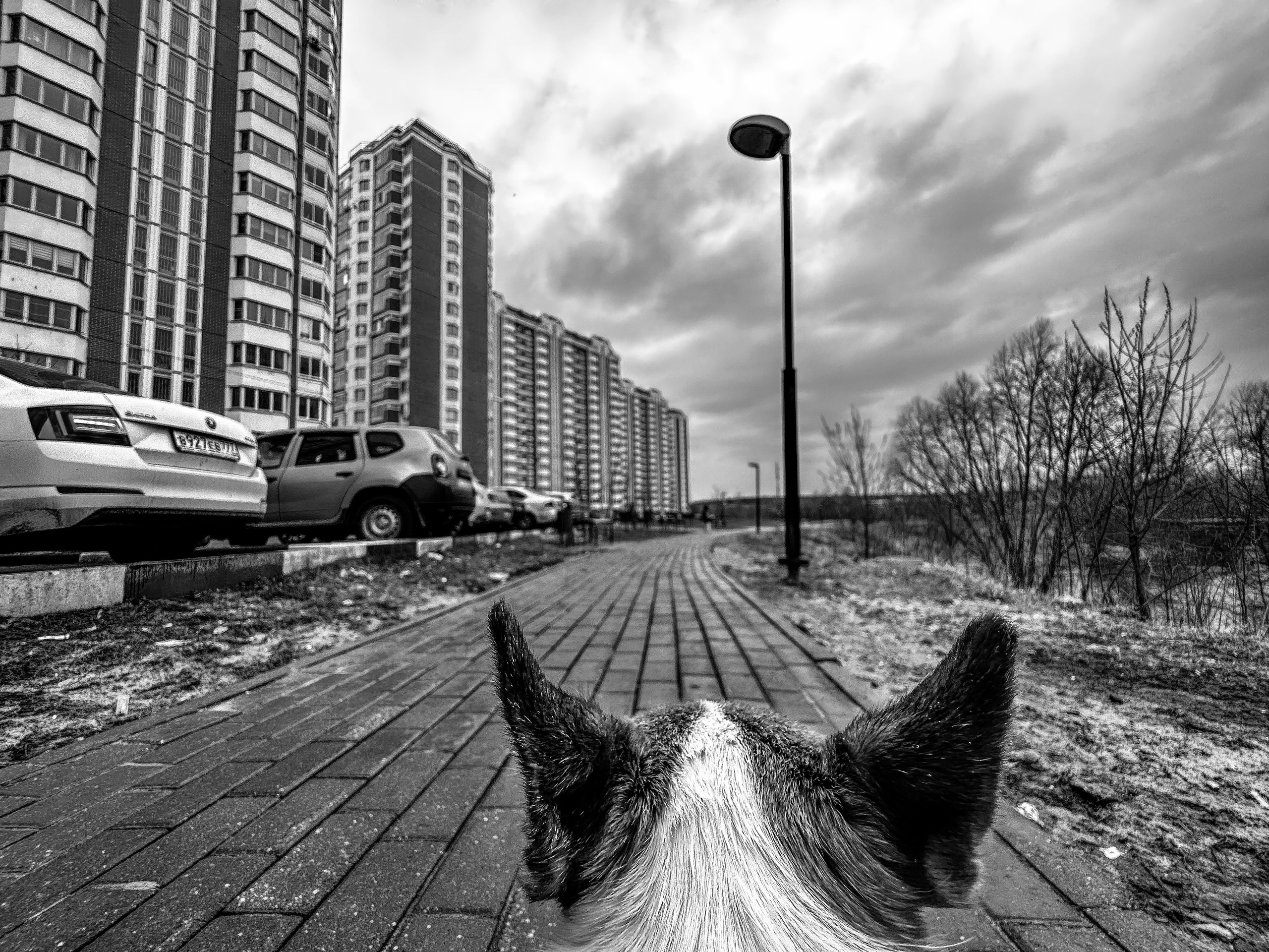 Yōko. Семейный фотограф в Москве Вики О»