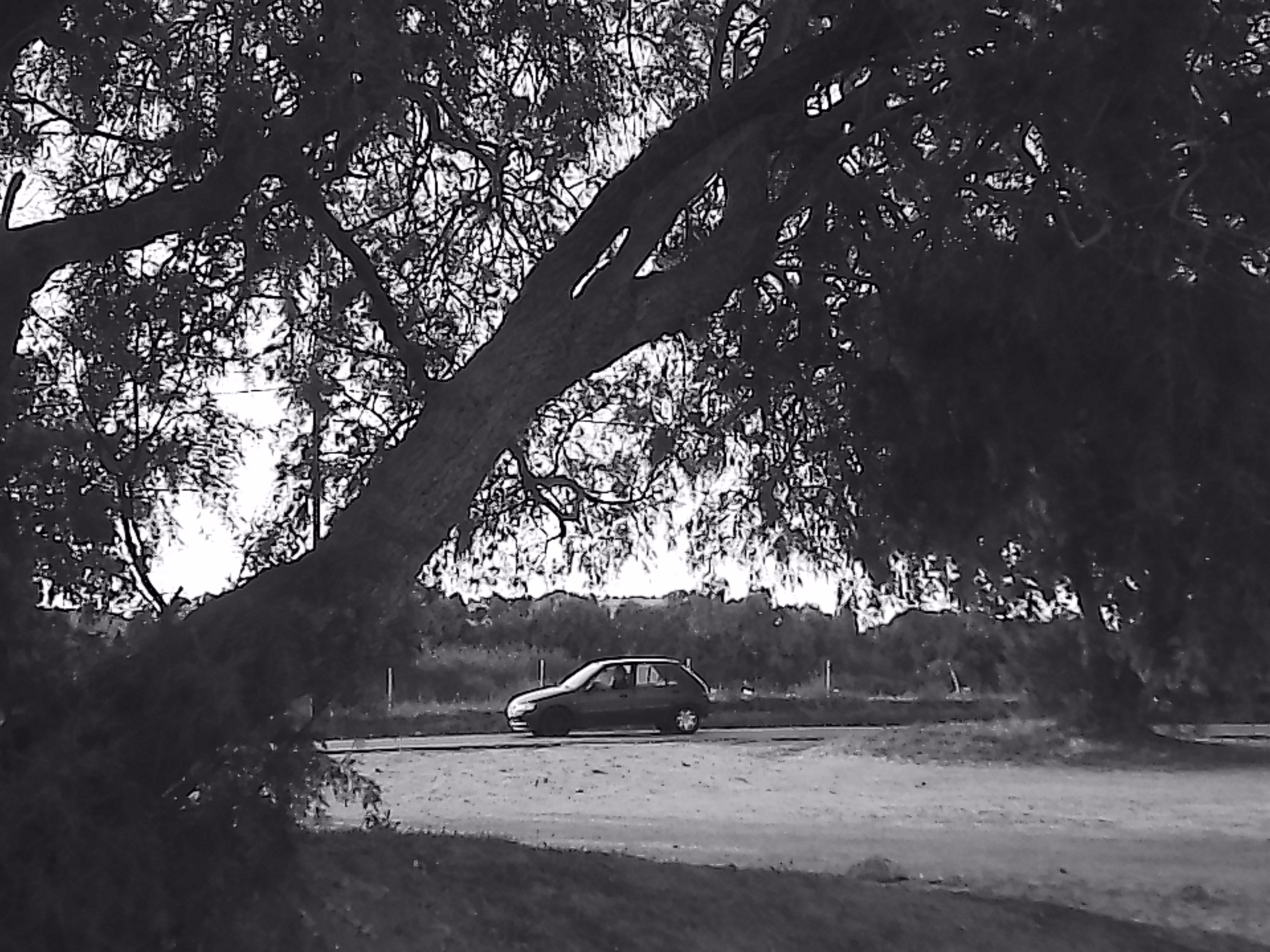 «Крошка 🐣». Anita_photo