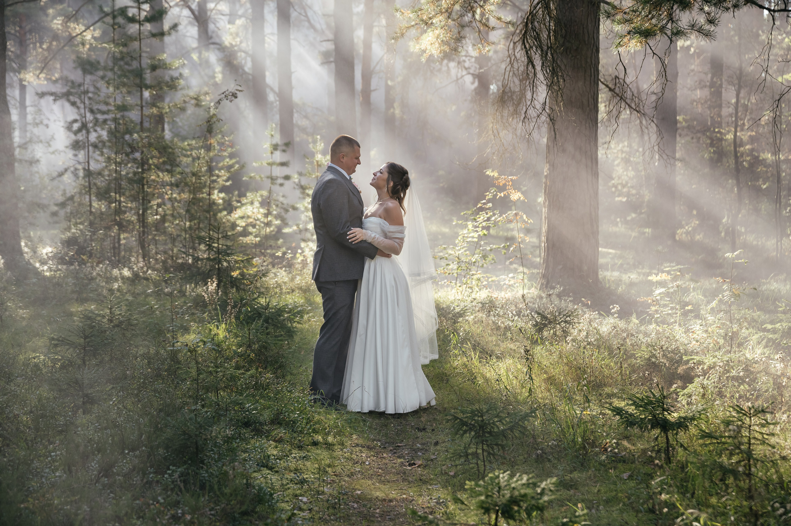 лучи солнца в темном лесу на свадьбе 