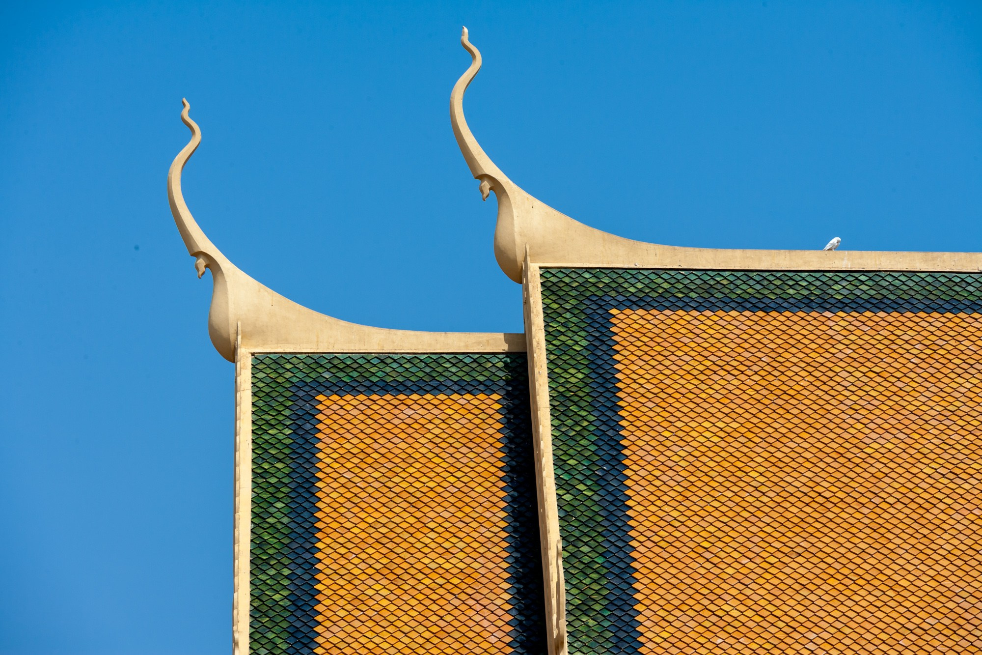 Фотосъёмки в Камбодже. Фотограф Алексей Скоробогатько