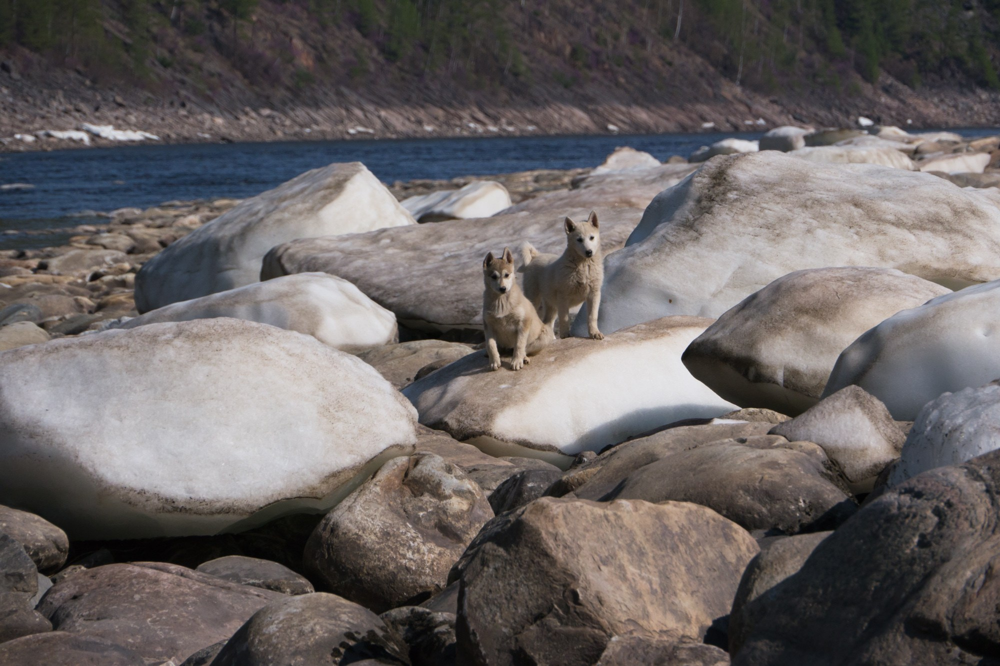 Якутия. Фотограф Алексей Скоробогатько