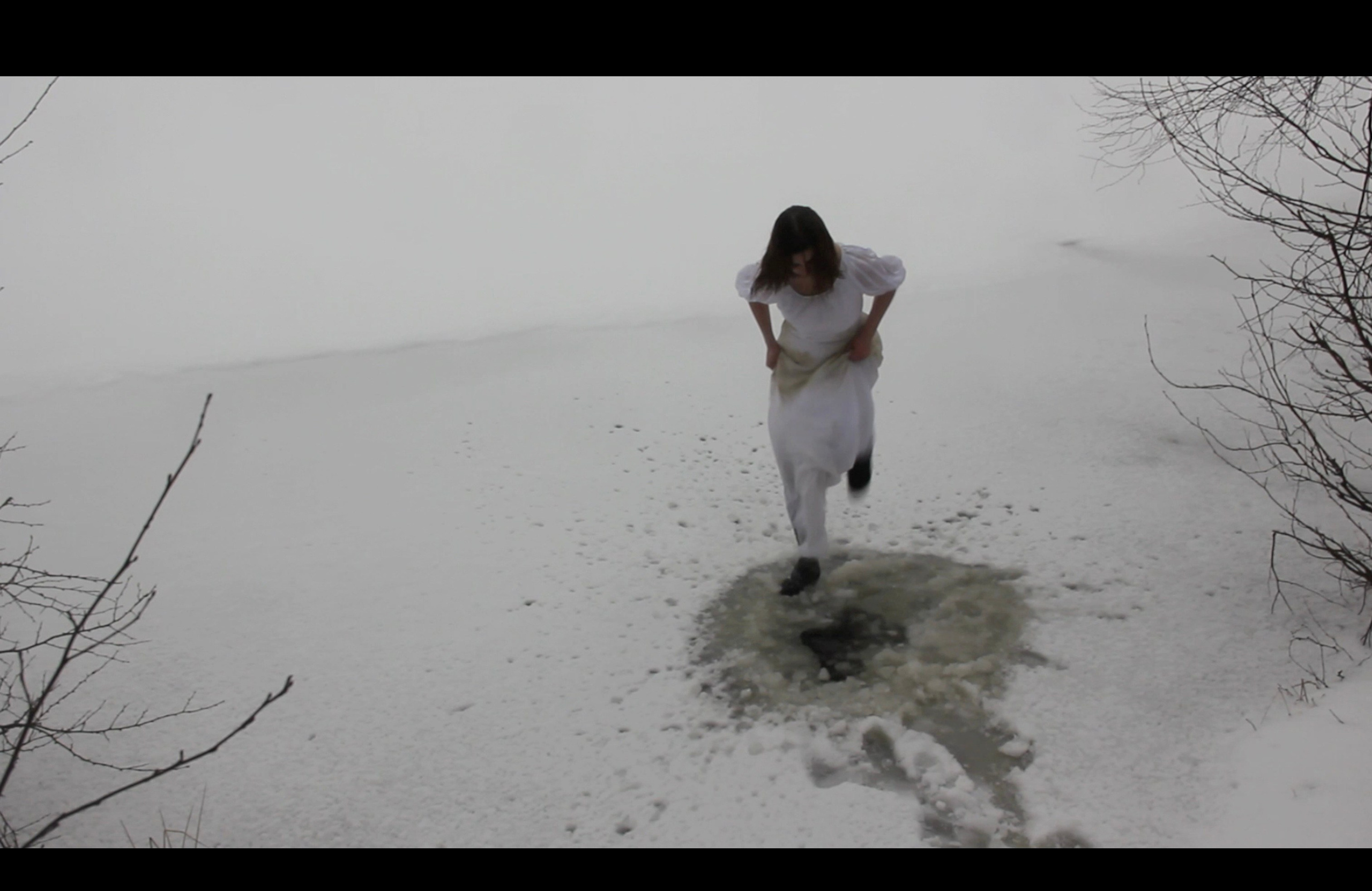 ЛЕД. Художественная группа «Нежные Бабы»