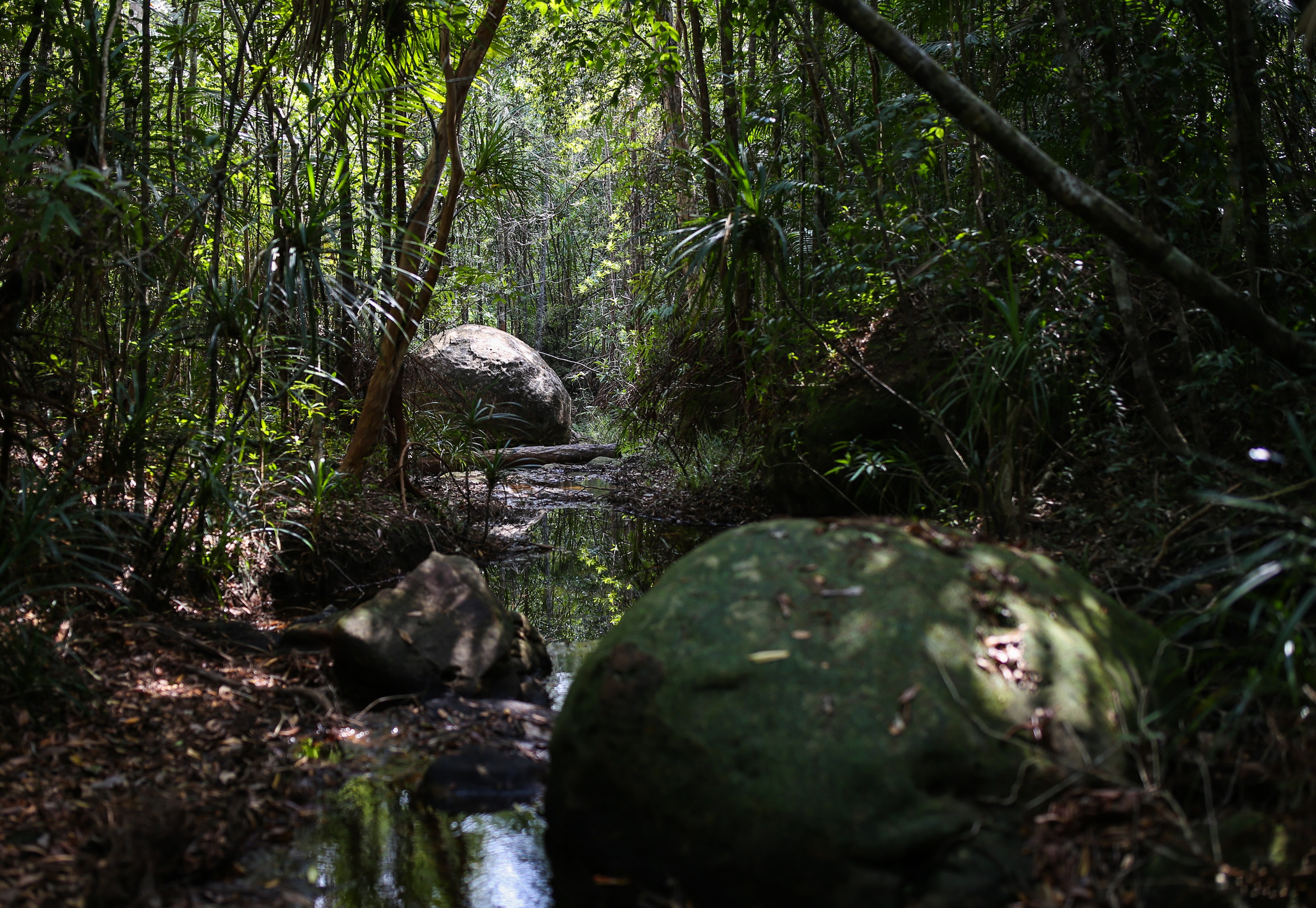 Остров Фукуок, Вьетнам. Фотограф Сергей Кишкель Дананг Нячанг Фукуок