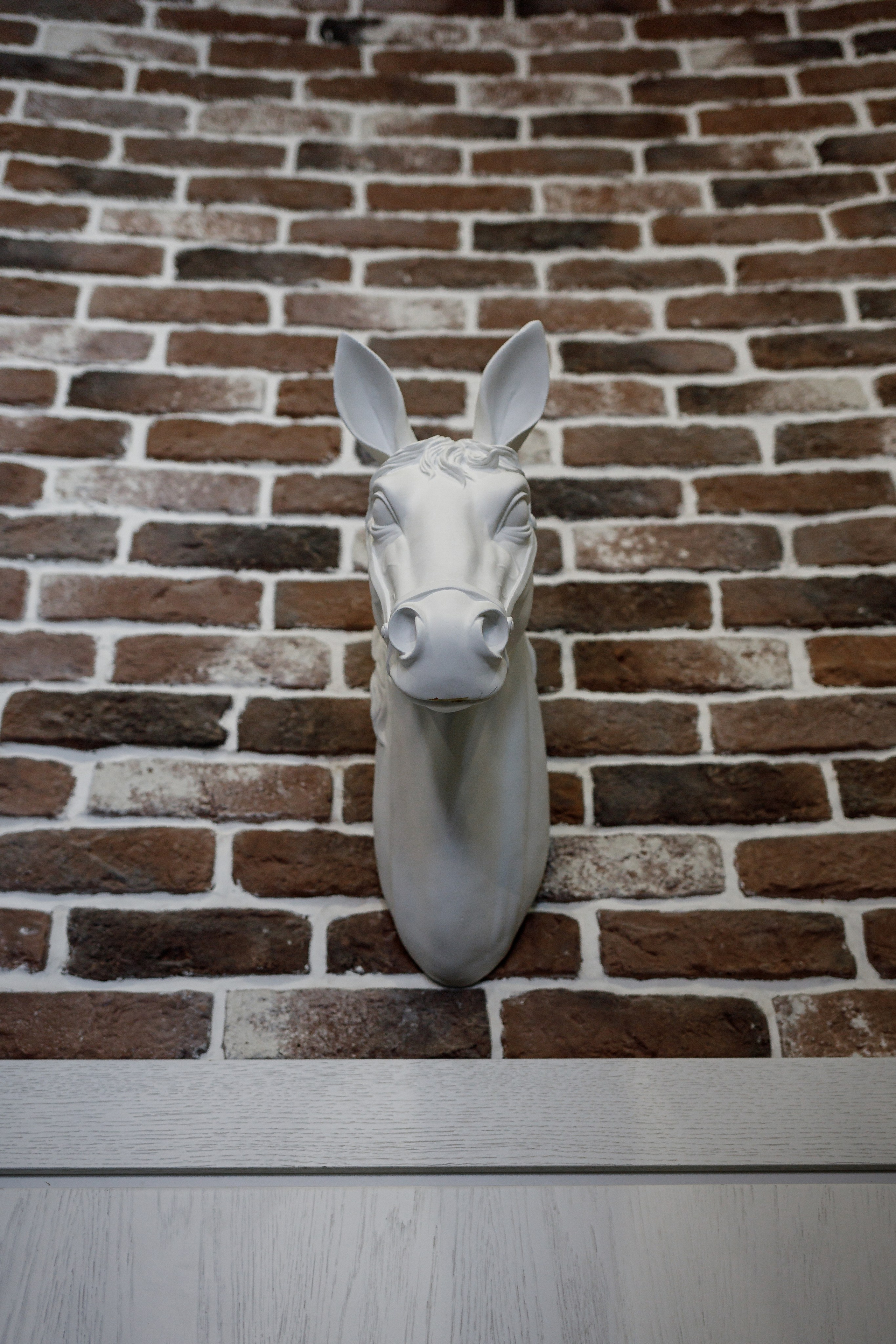 Дмитрий и Екатерина. Свадебный и репортажный фотограф в Хабаровске Никита Быков