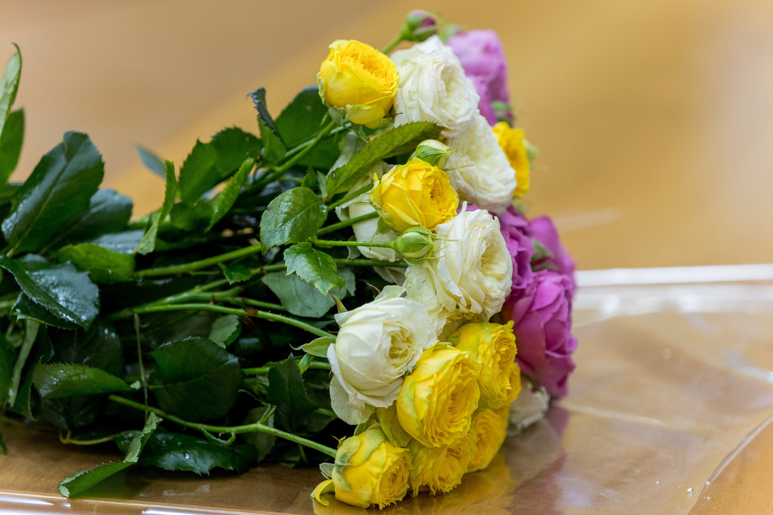 ЮрФак — 105 лет. Владислав Волков | Фотография и видеосъемка в Воронеже