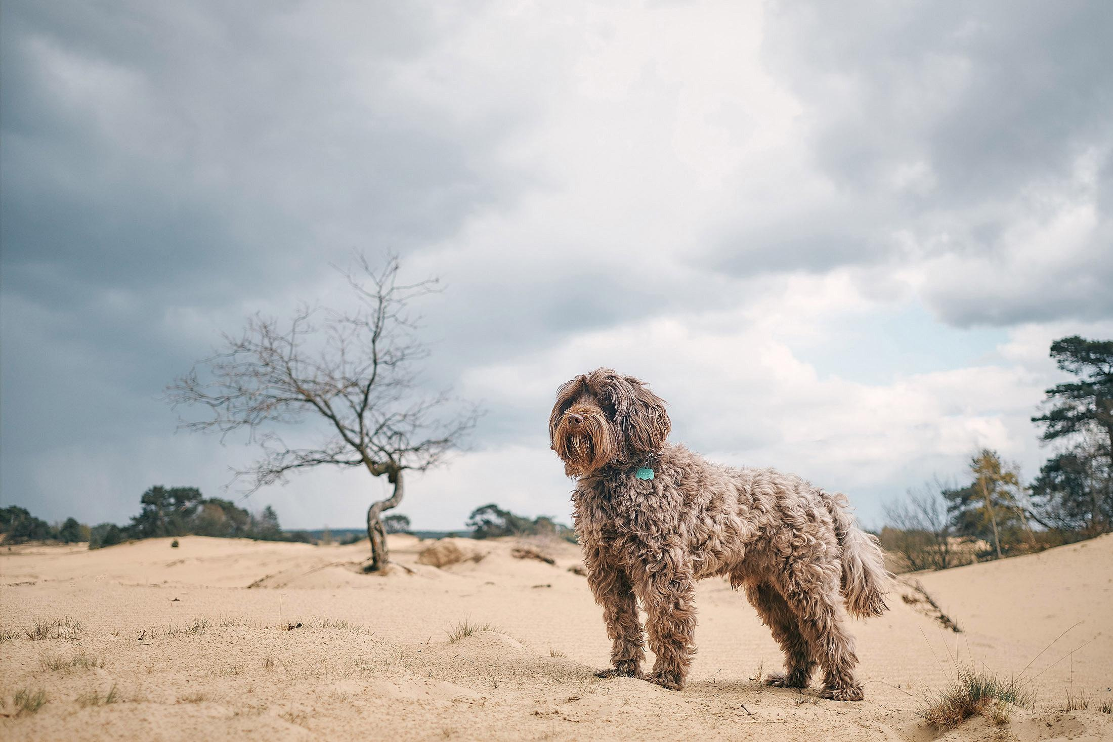 Франк и Ирина. Фотограф для бизнеса Константин Брусницын в Екатеринбурге