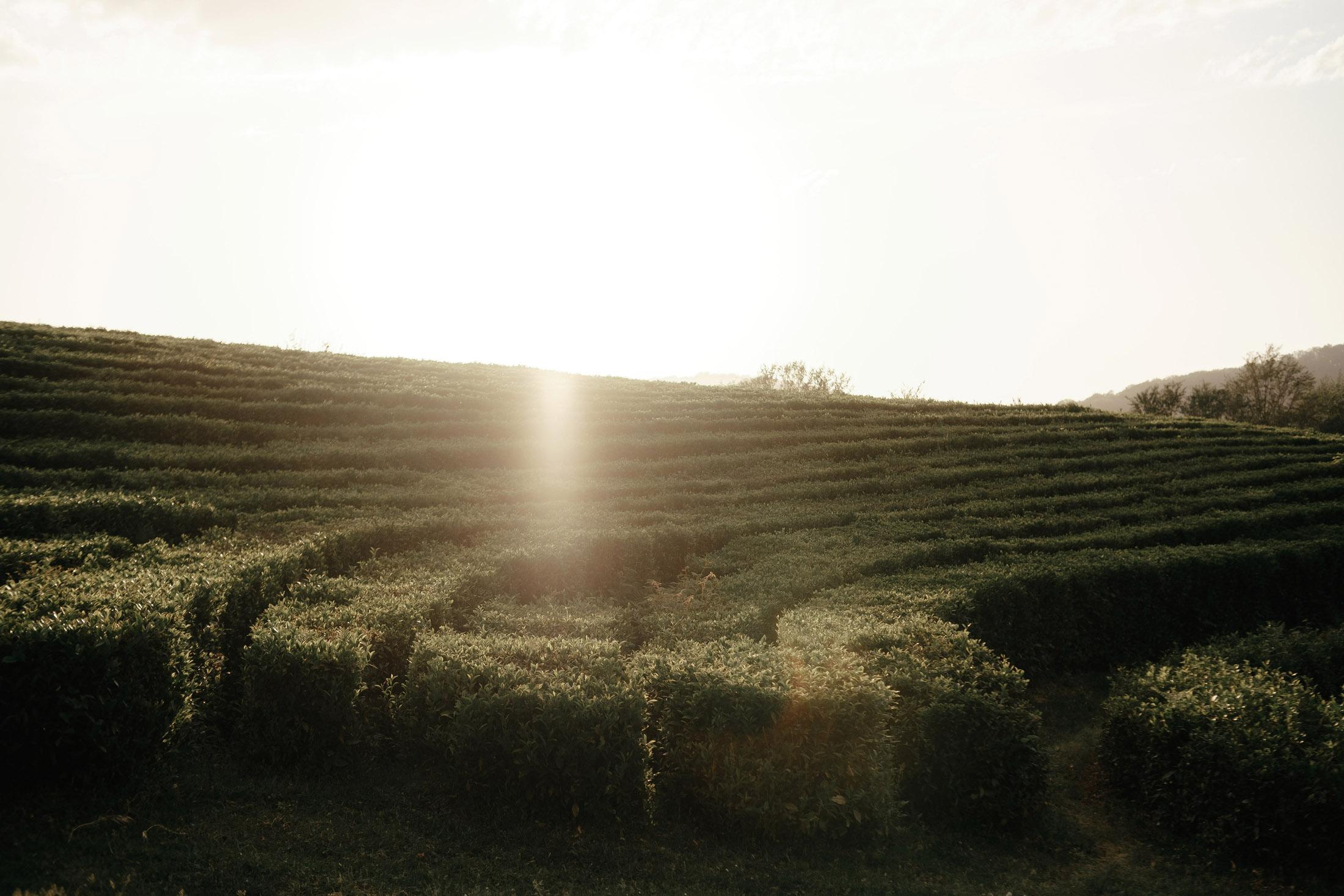 Сергей и Люба. Фотограф для бизнеса Константин Брусницын в Екатеринбурге