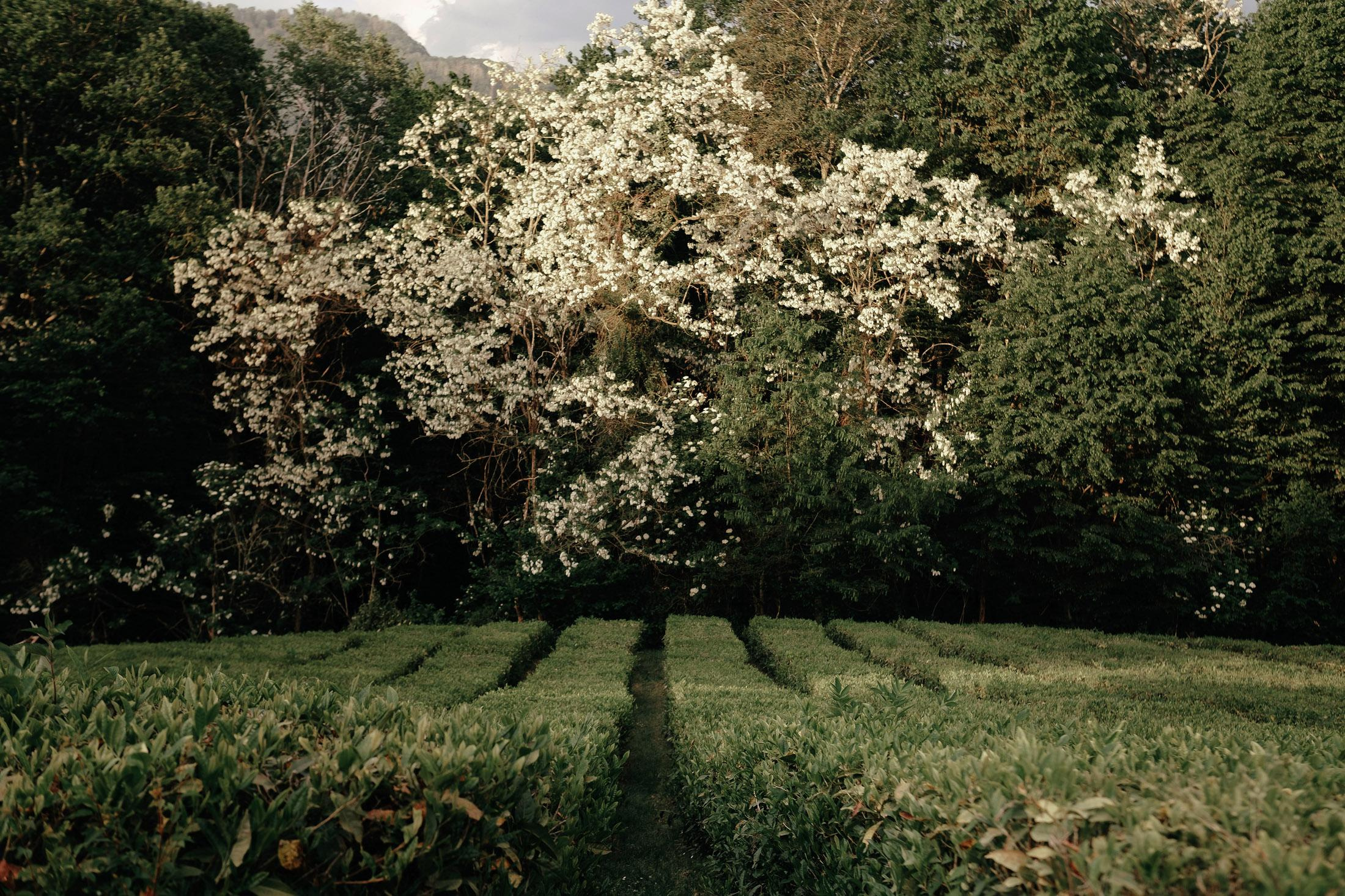 Сергей и Люба. Фотограф для бизнеса Константин Брусницын в Екатеринбурге