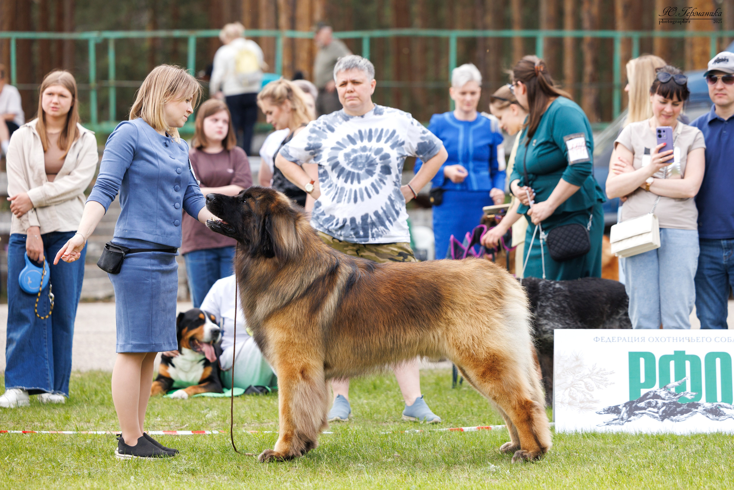 Суздаль(Владимир)17-18.05.2025. Фотограф-анималист Юлия Германика