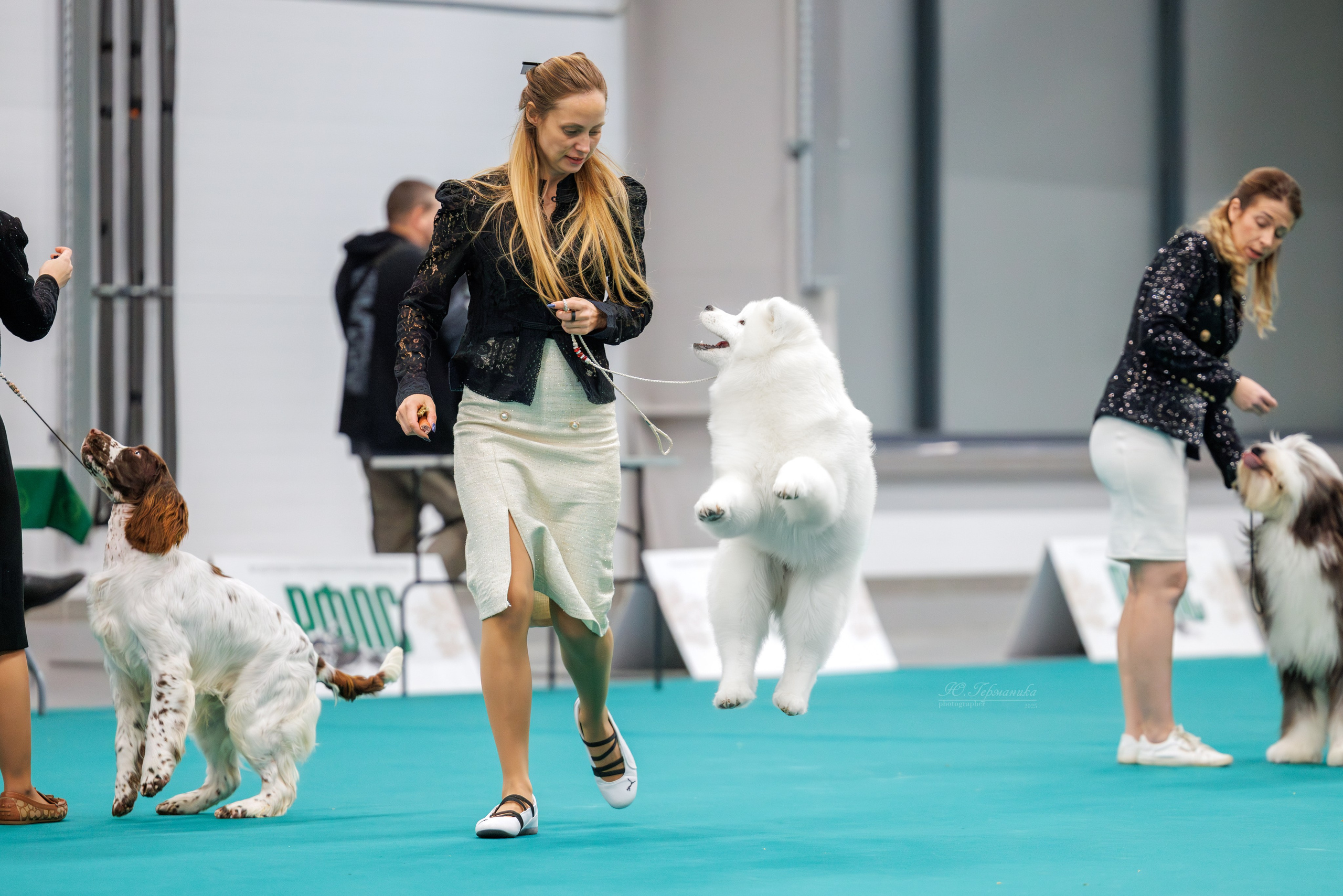 Зилант Казань 29-30.11.2025. Фотограф-анималист Юлия Германика