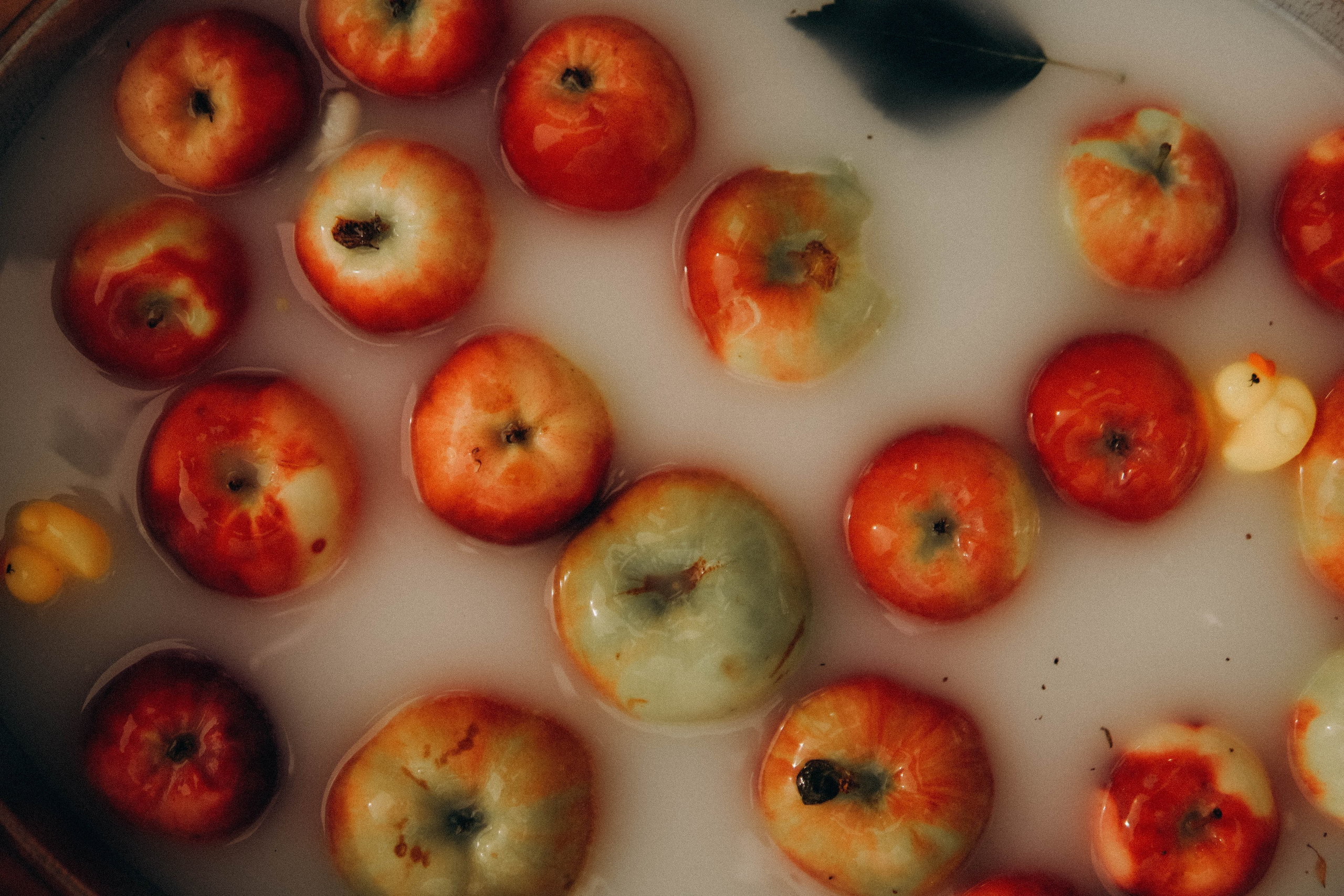 Семейная история. Сибирский фотограф Братск, Иркутск Анна Галанина