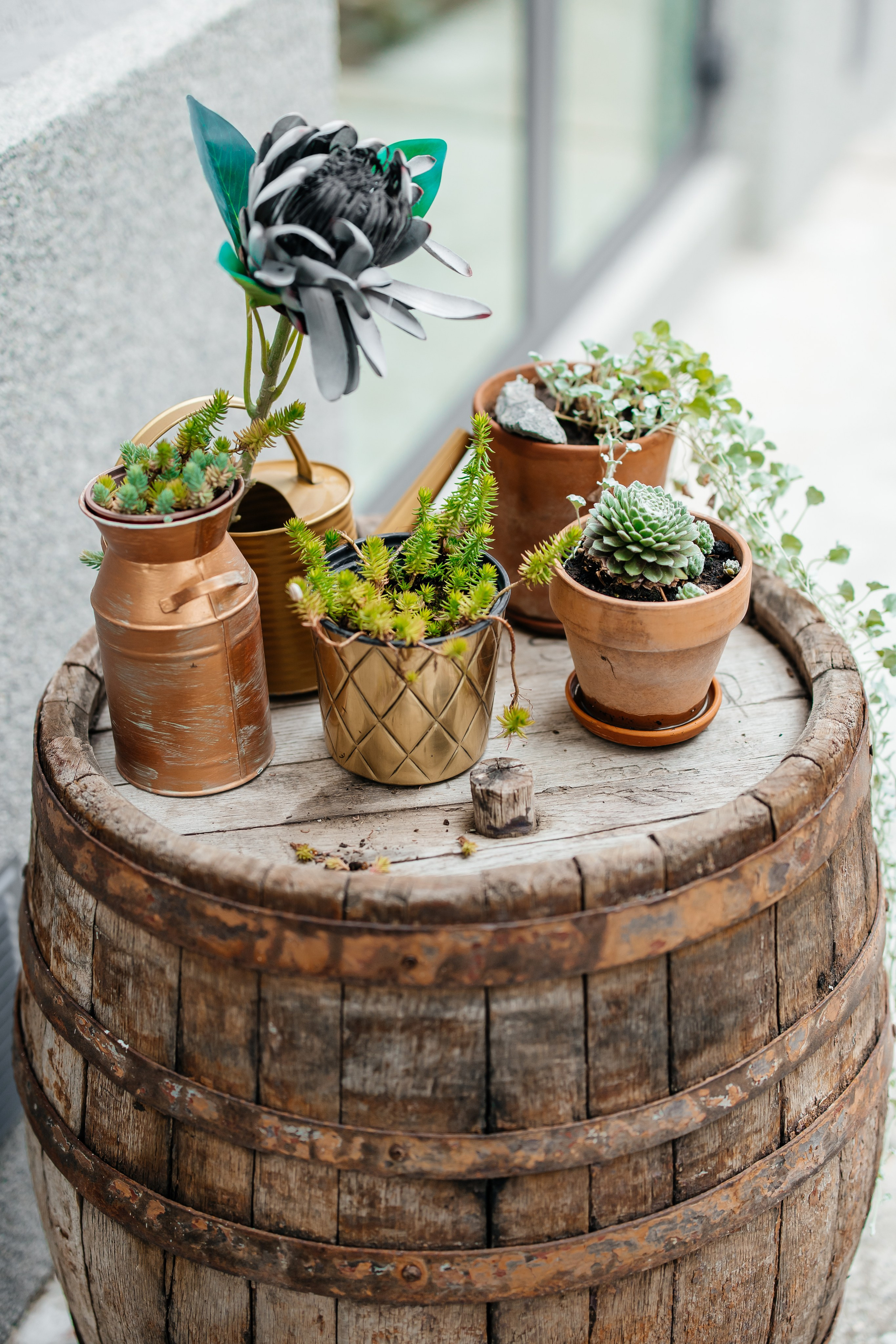 Freedom House. Самый свадебный фотограф