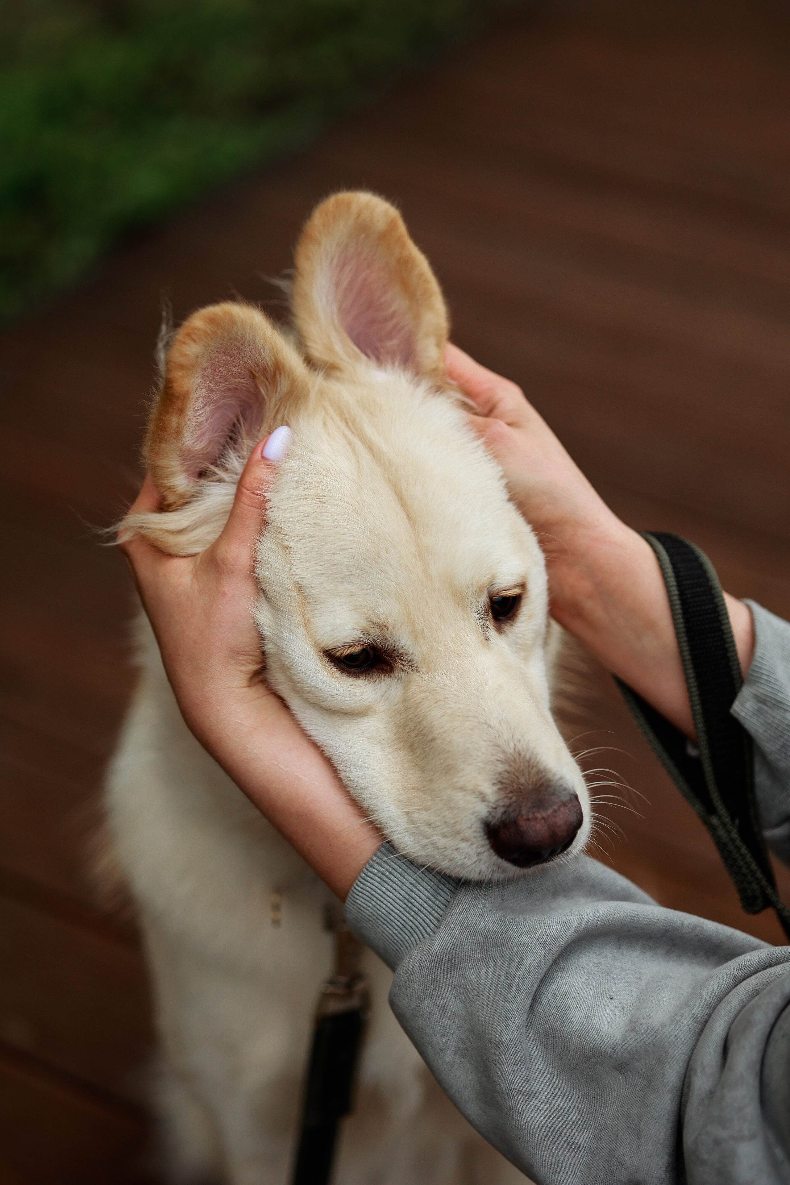 Прогулка на берегу озера. Фотограф Юлия Говор