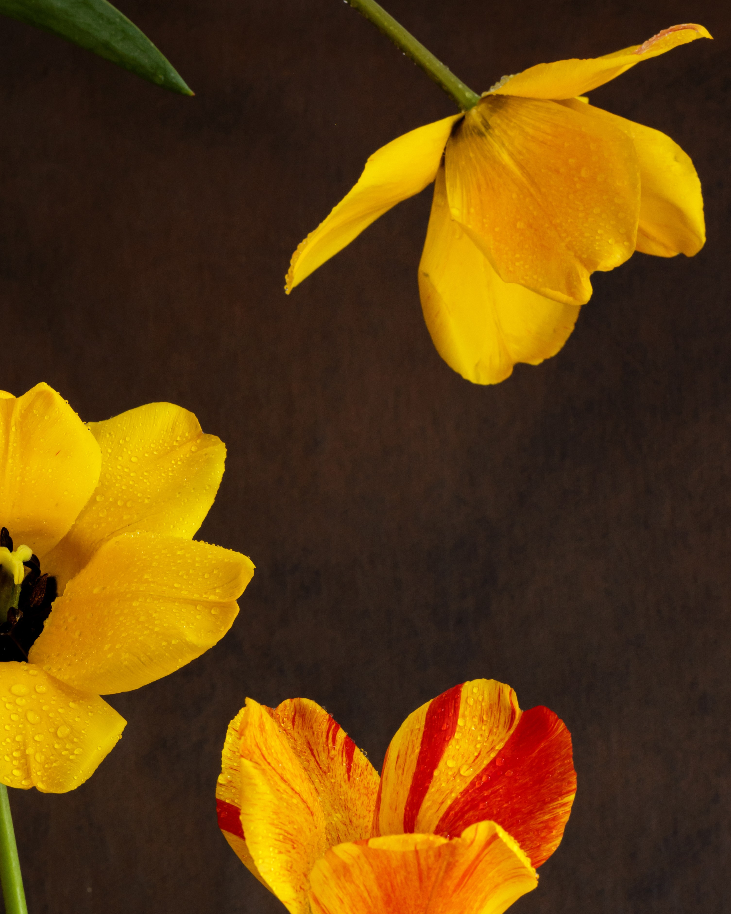 Yellow Mood. Author’s fine art prints with international delivery