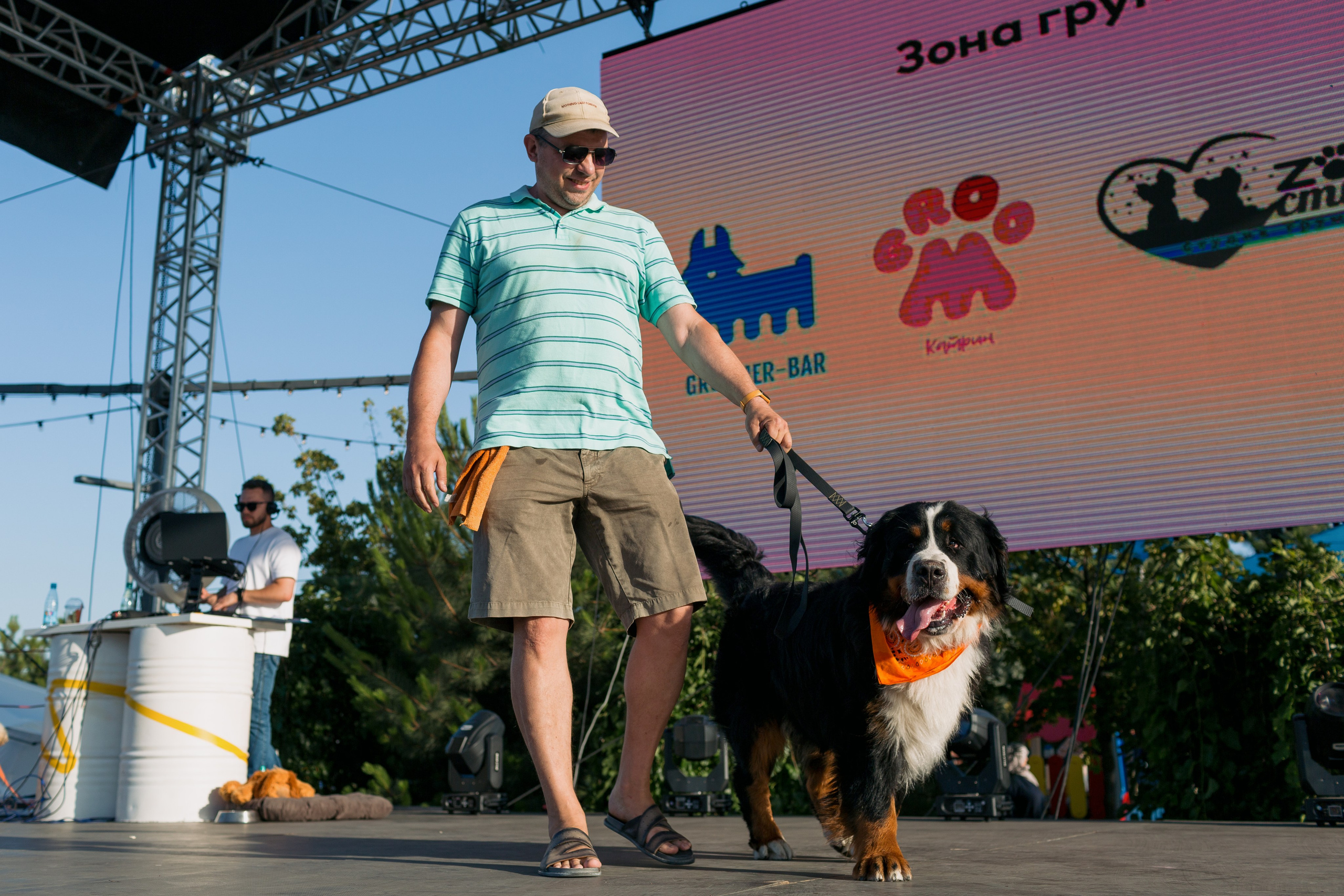 Dog Fest 2024. Главная