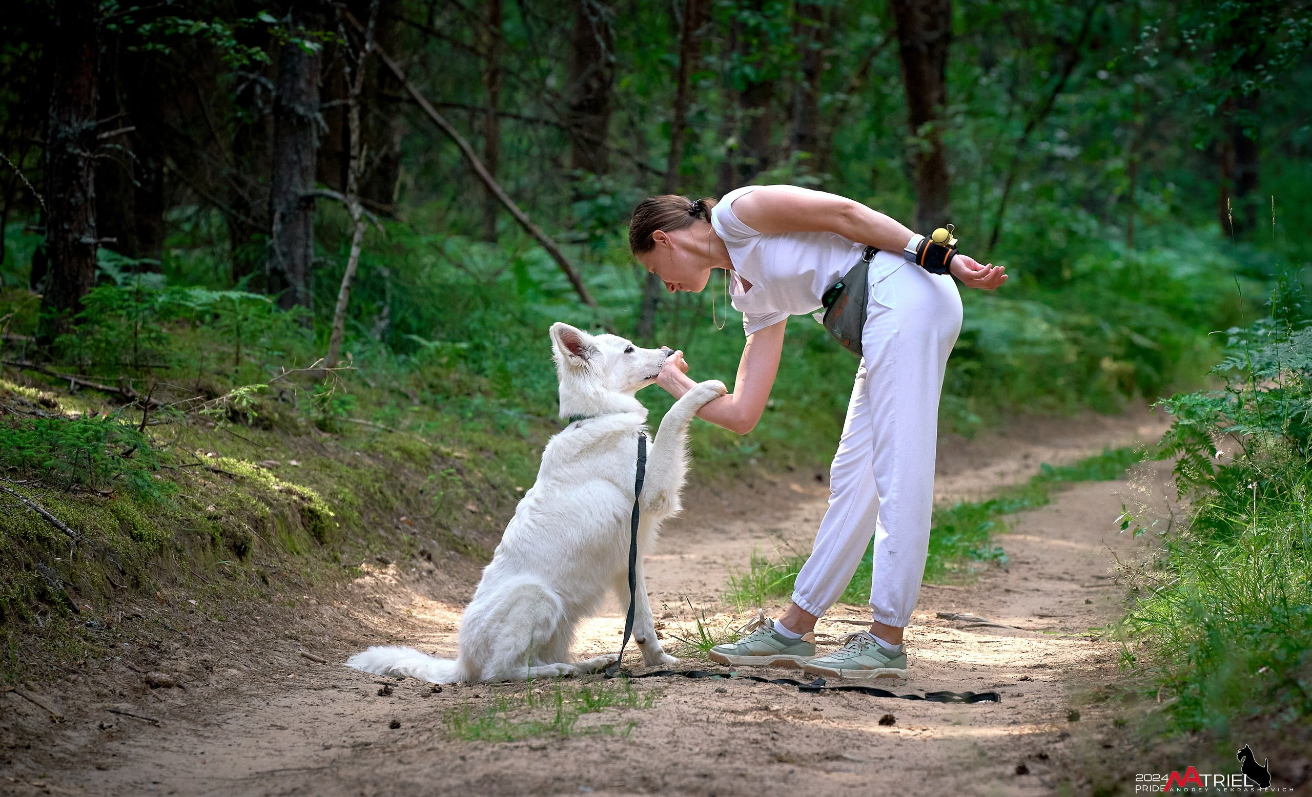 Репортаж из кинологического лагеря