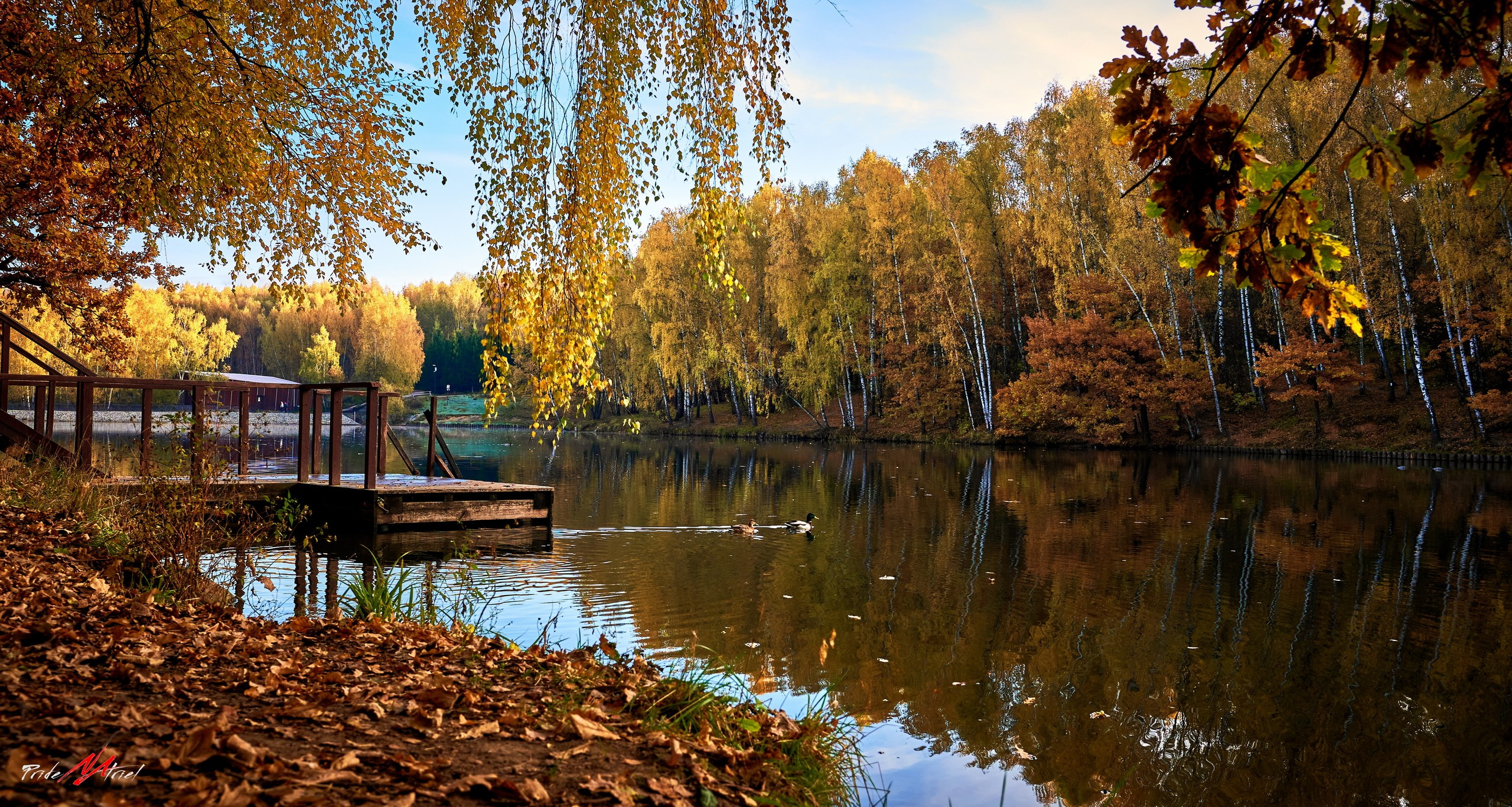 Пейзаж — галерея NATRIEL