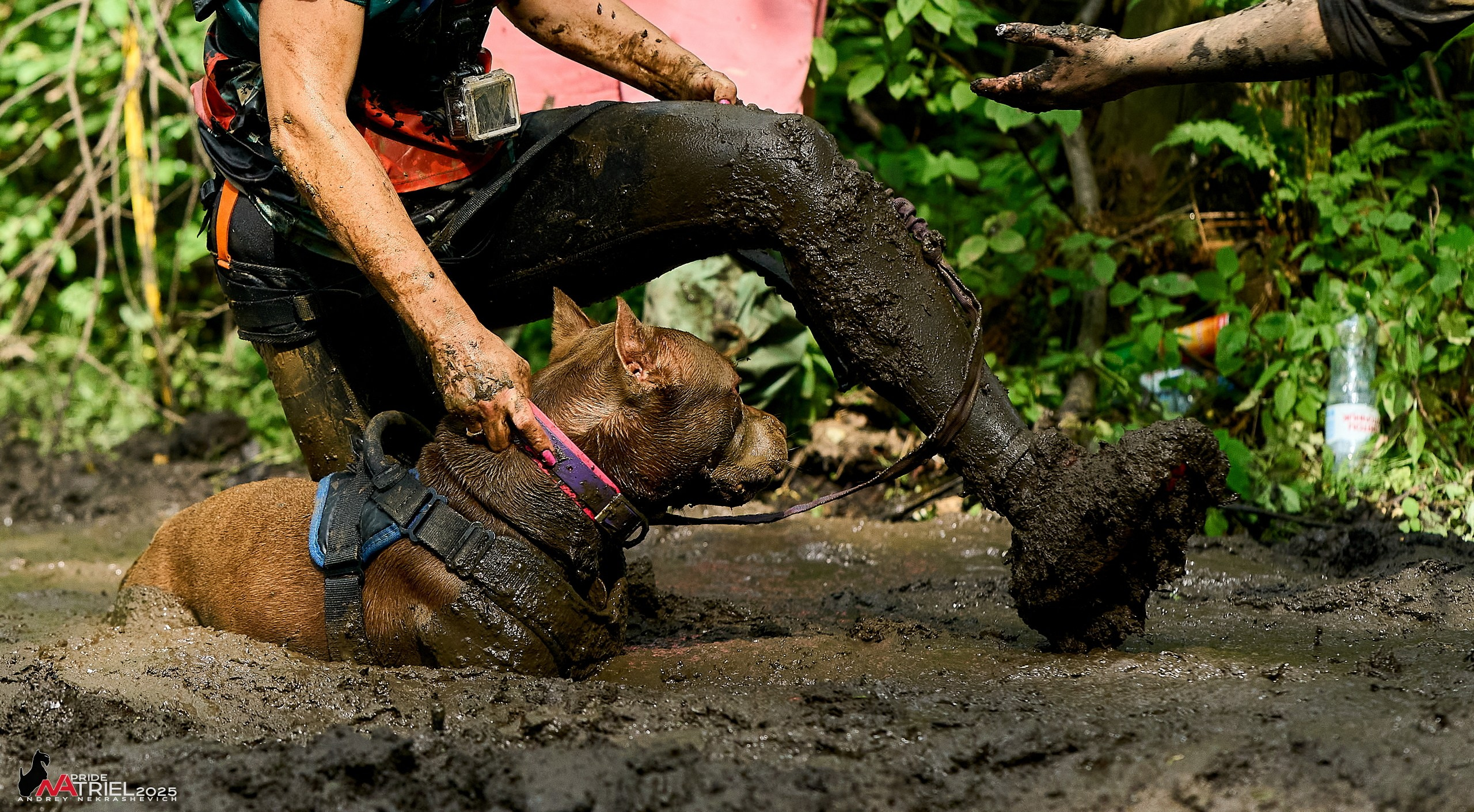 Russian Extreme Dog Trail — 2025