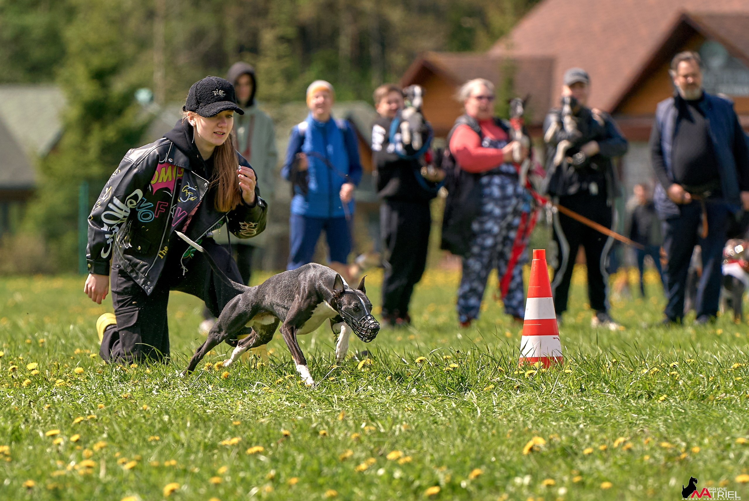 Съемка курсинг — галерея NATRIEL