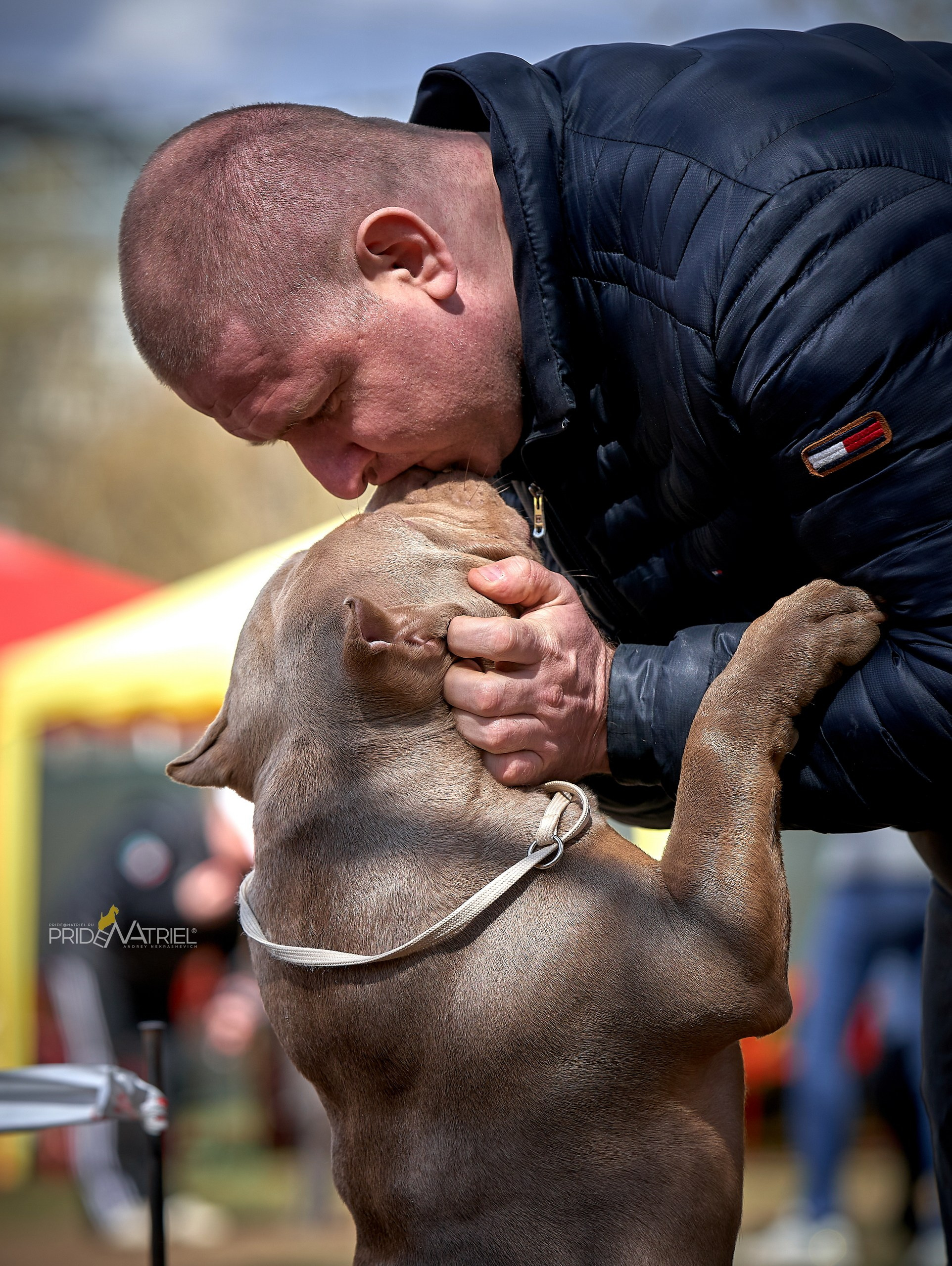 Собаки и Люди — галерея NATRIEL