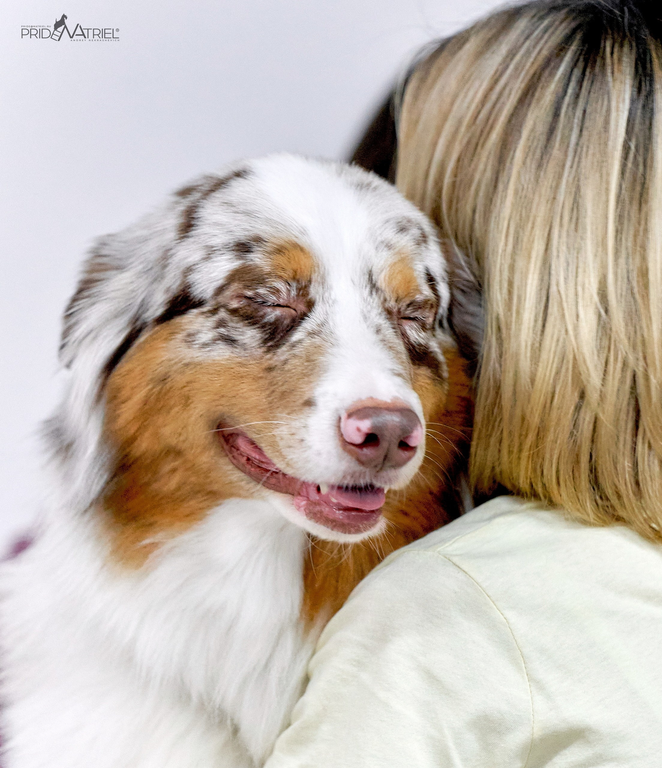 Собаки и Люди — галерея NATRIEL