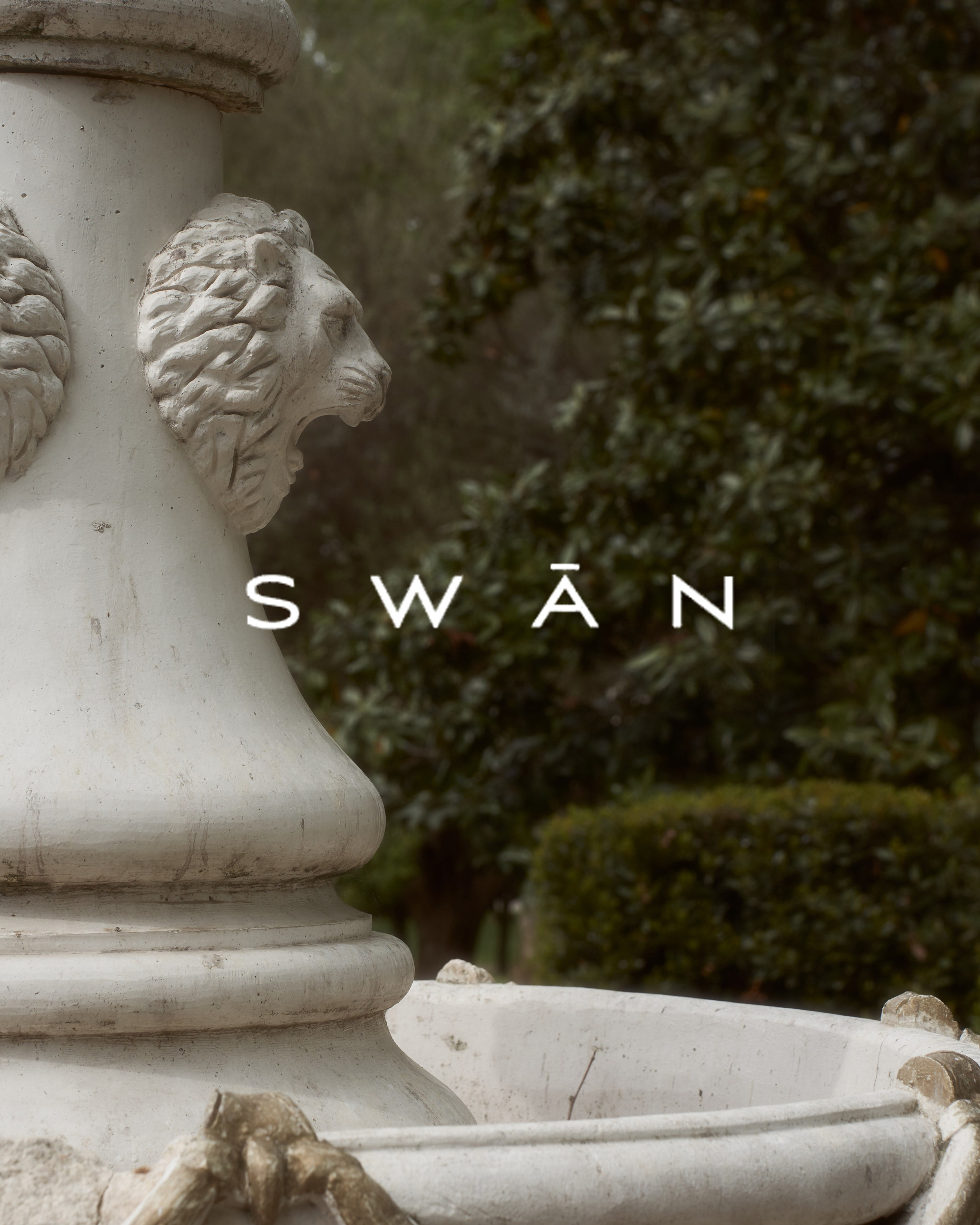 Swan | Имидж. Фотограф Марина Голубева, Минск. Съемка для брендов, реклама