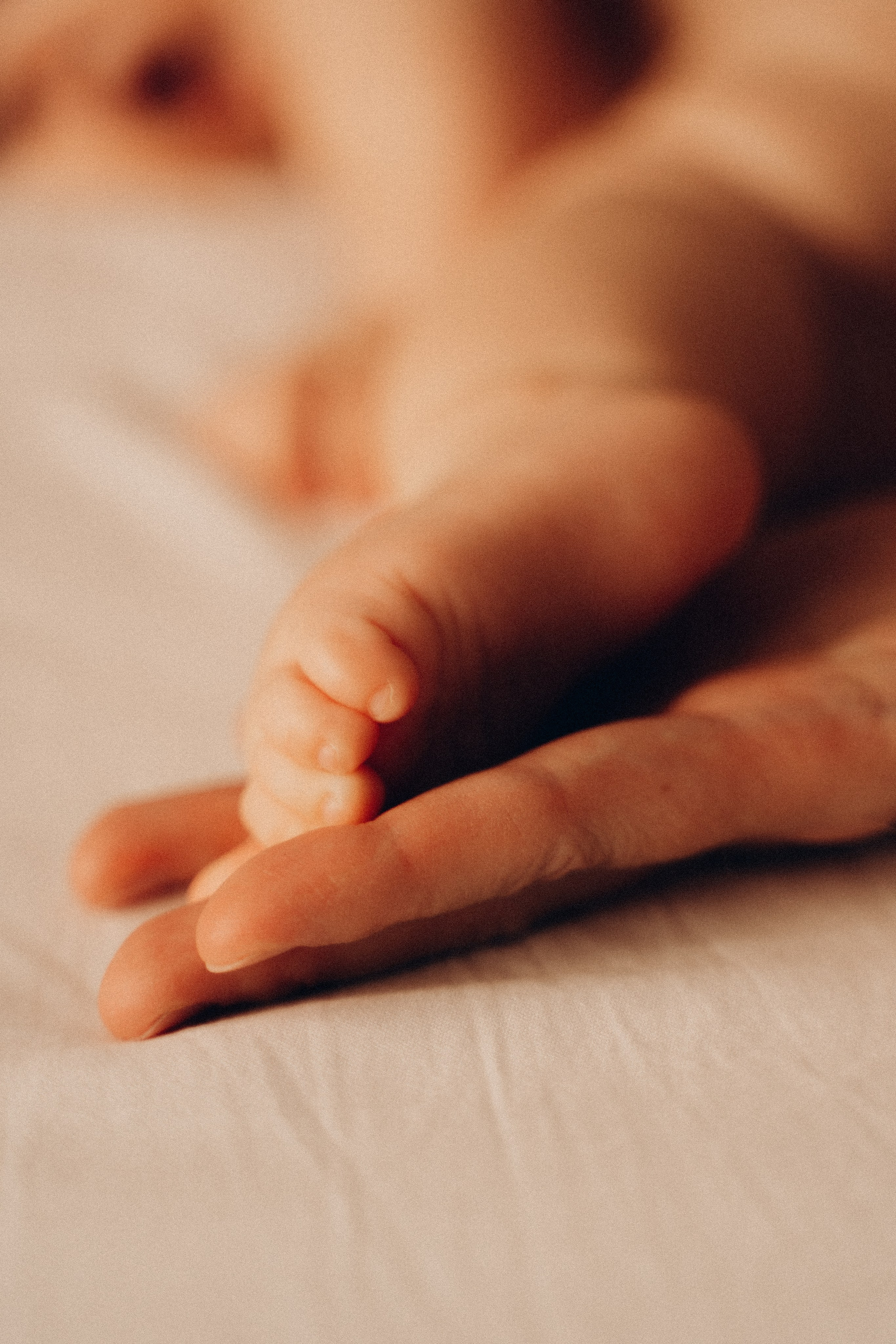 Домашняя история. Фотограф в Анапе Климушина Ангелина