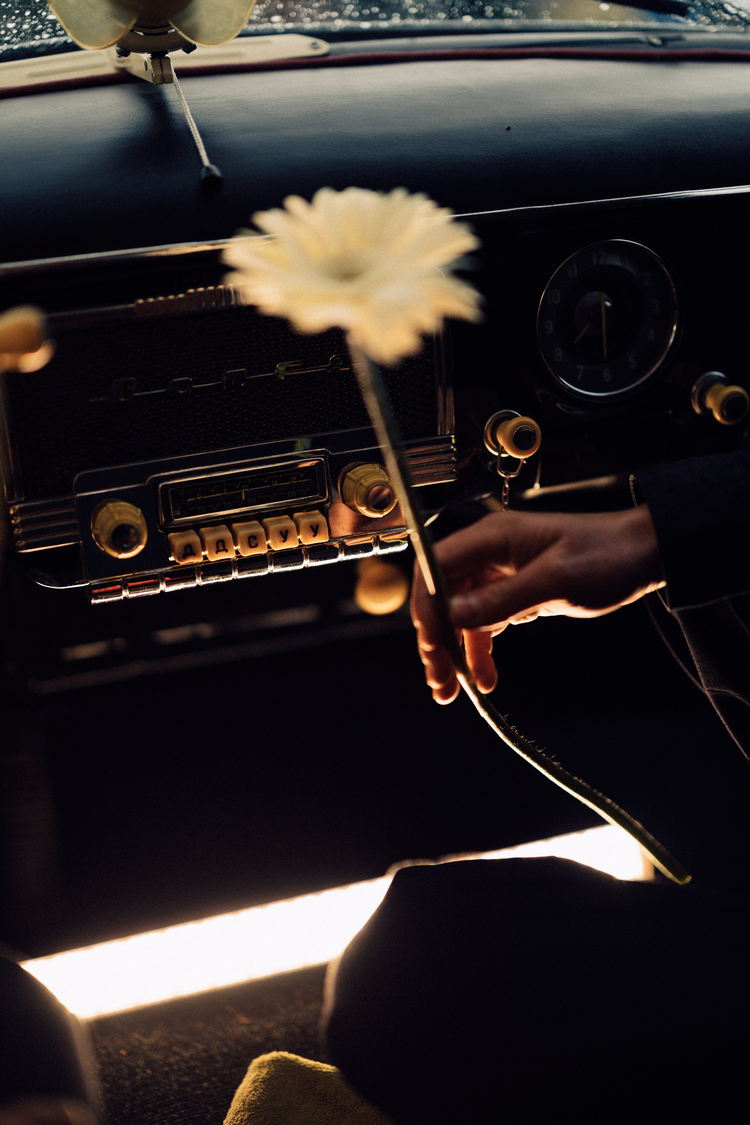 Tonya x Vanya. Daria Chigintseva Photographer