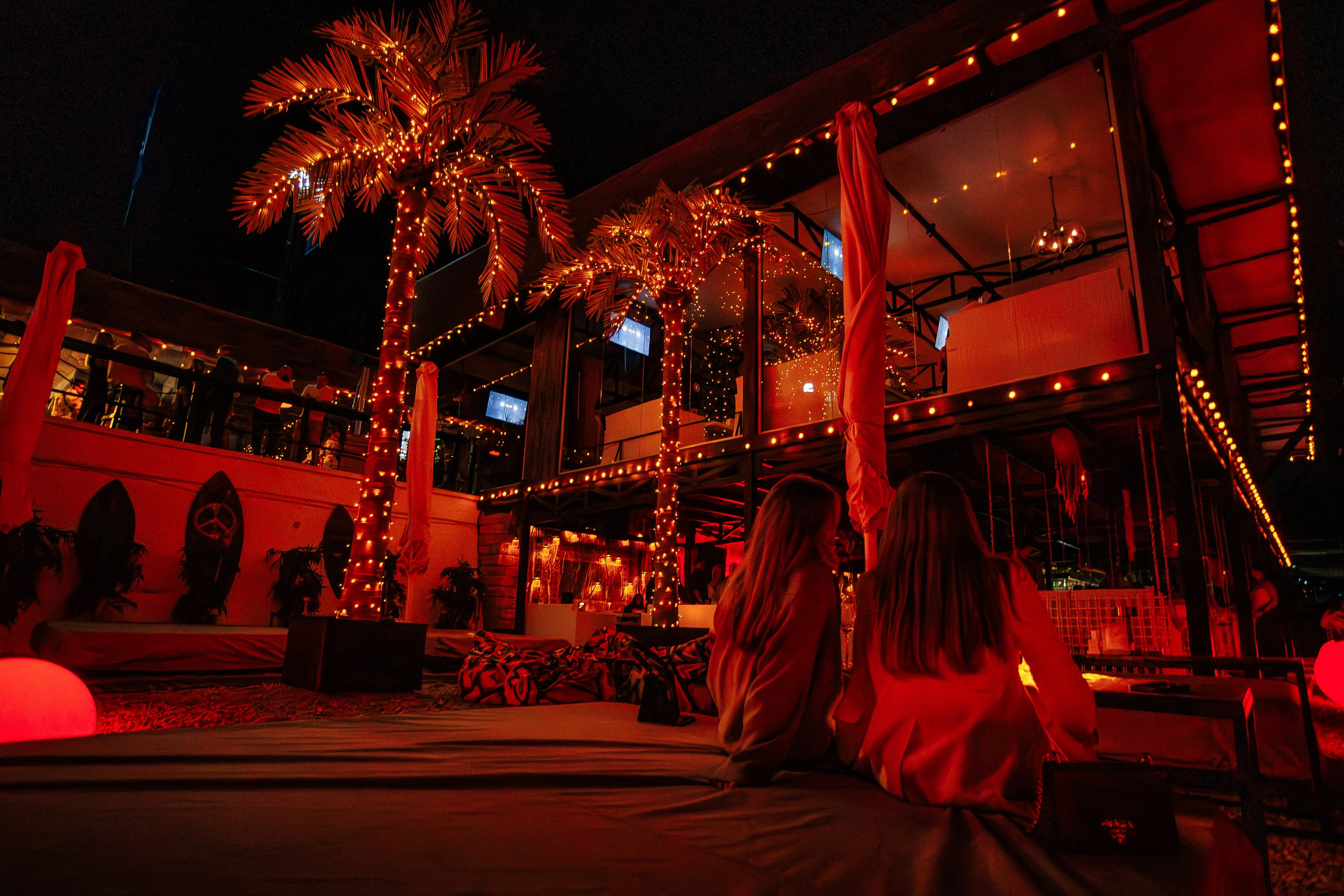 «Karena Makarena"_Чайка на пляже_ Ялта_6.06.2025 г. Аминов Руслан | Фотограф