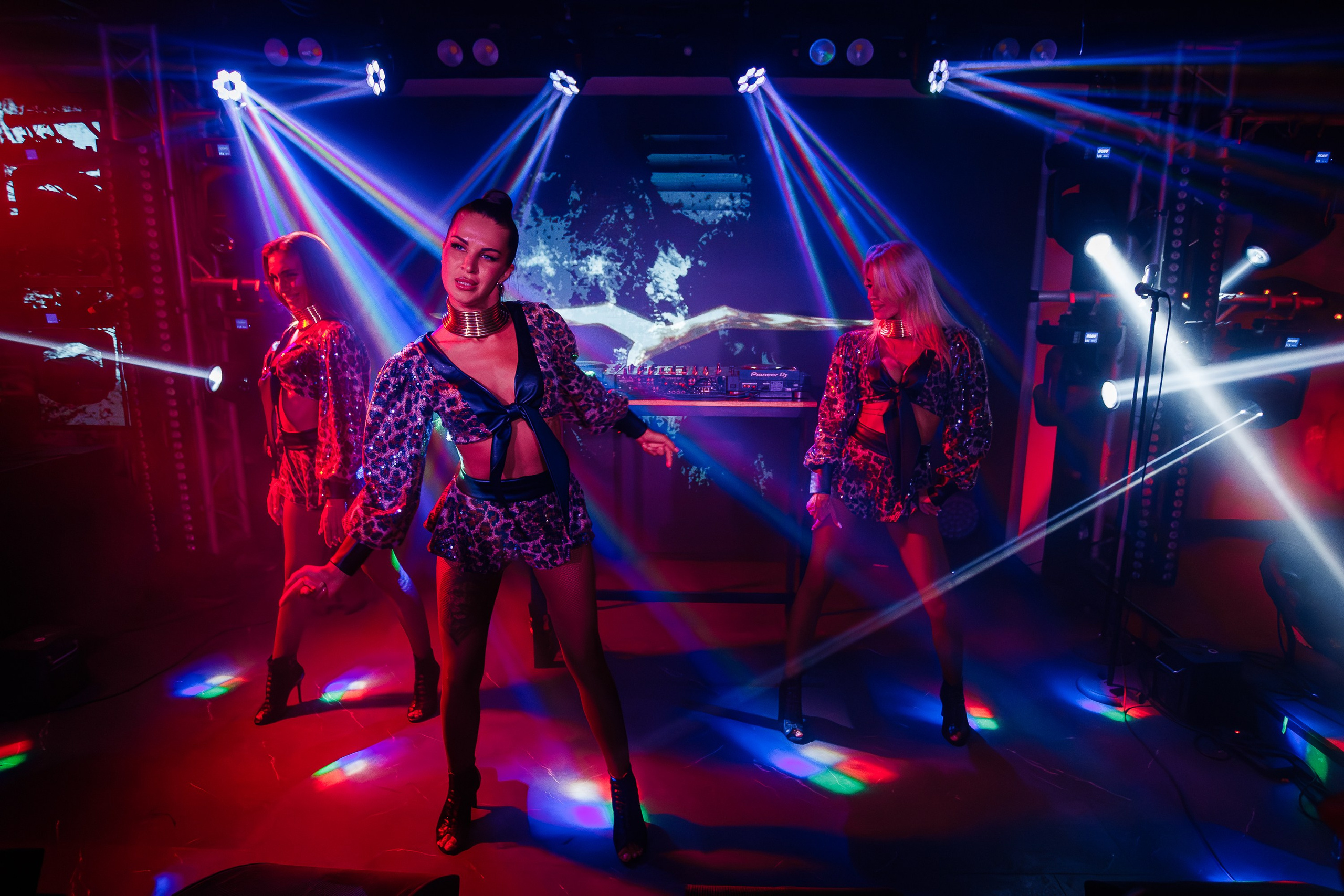 «КРАВЦ"_Чайка на пляже_Ялта_27.08.2025 г. Аминов Руслан | Фотограф