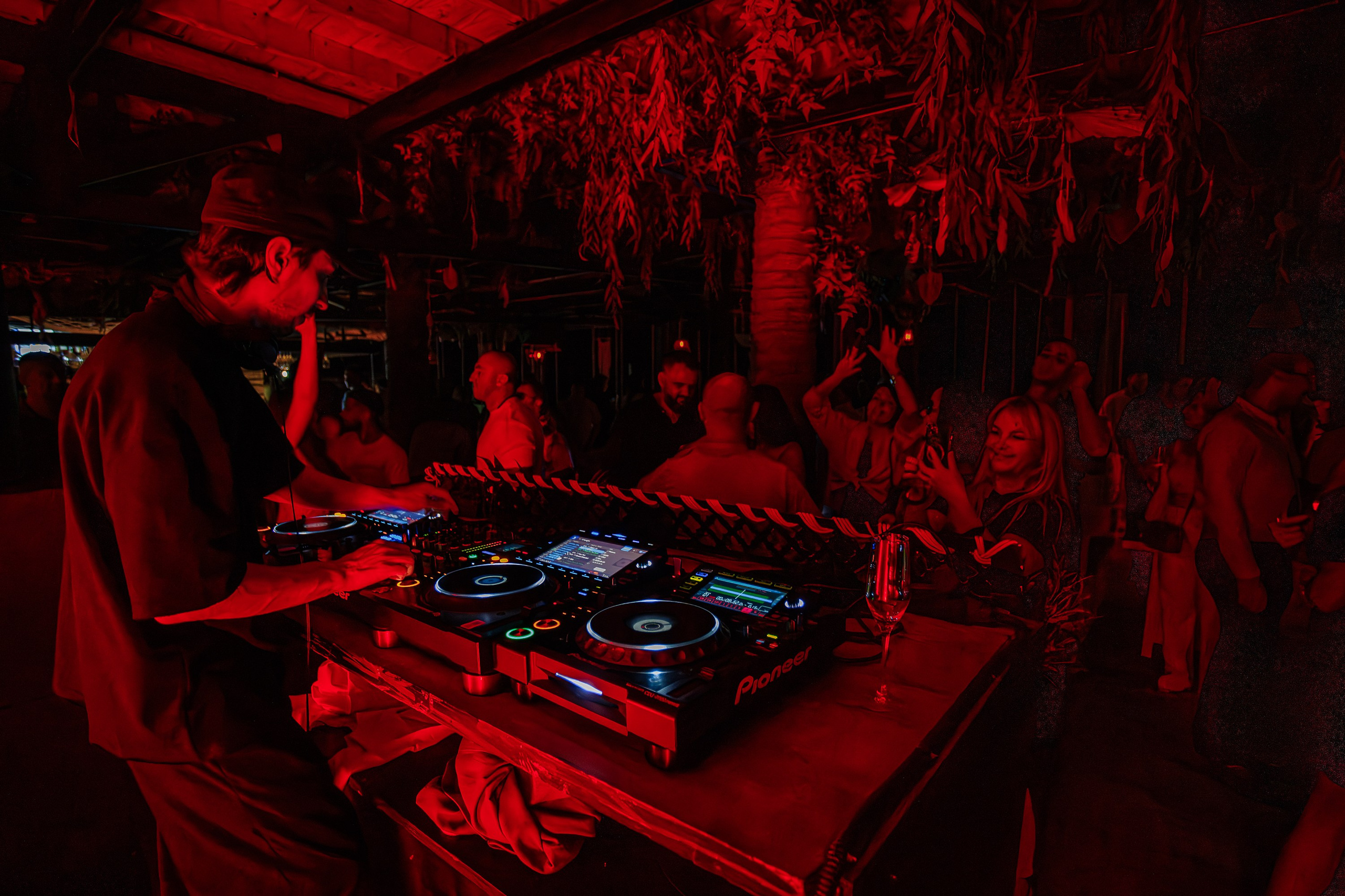 «Митя Фомин"_Чайка на пляже_Ялта_28.06.2025 г. Аминов Руслан | Фотограф