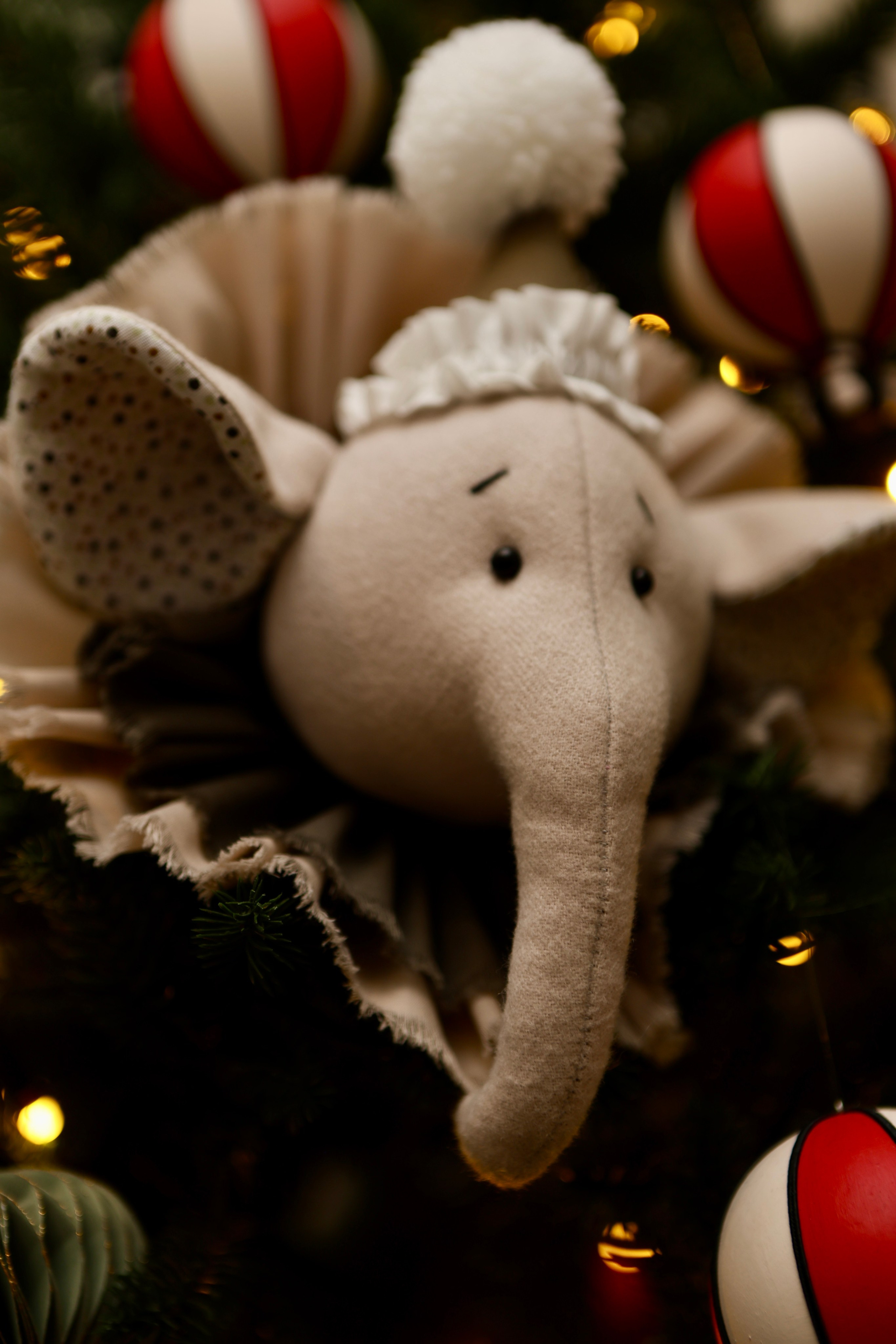 Яна Максим и Миша. Фотограф в Курске Смирнов Евгений