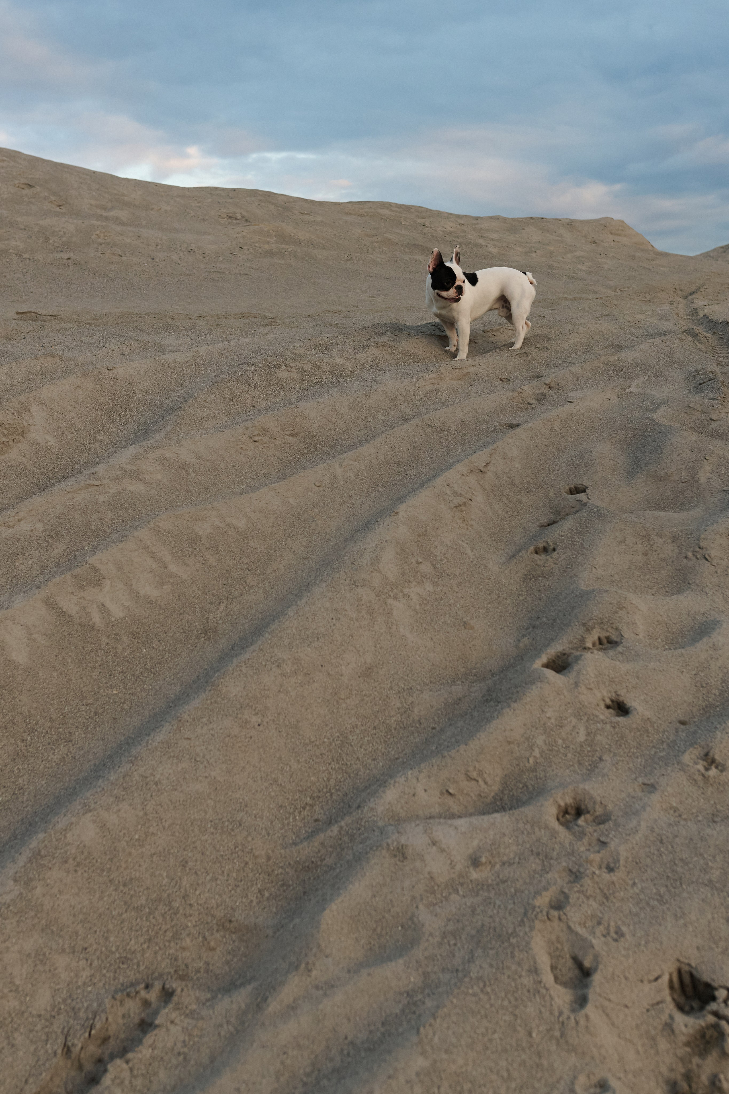 Пески. Свадебный фотограф Екатеринбург/Челябинск — Любовь Волохова