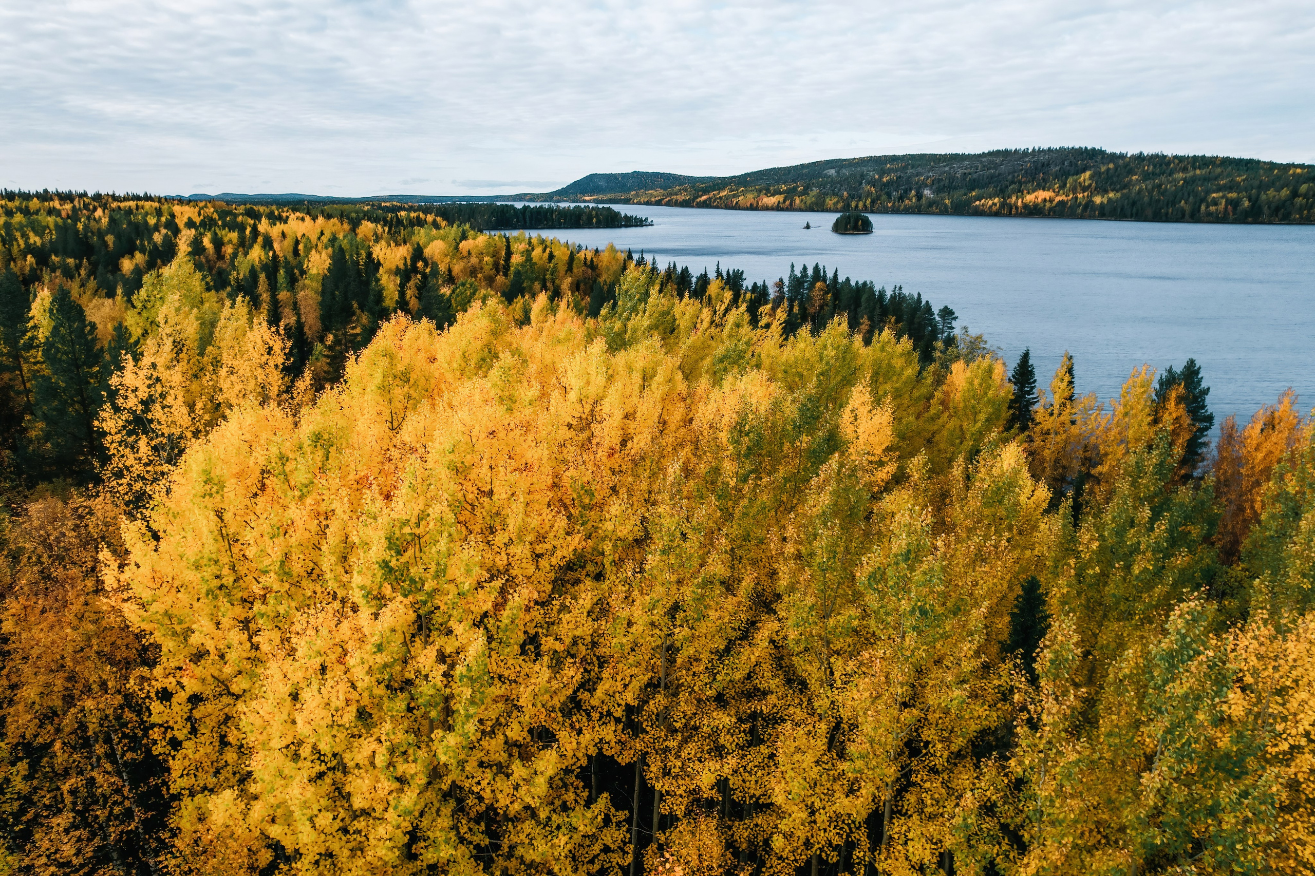 СЕВЕР. Event фотограф Степанова Александра