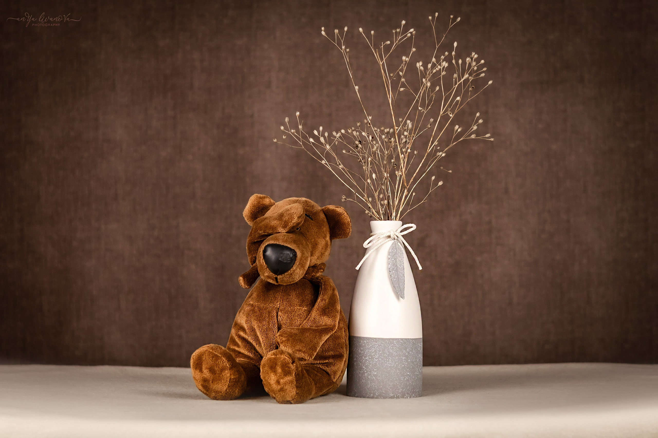Коричневый фон. Фотограф анималист Аня Ливанова | Рыбинск
