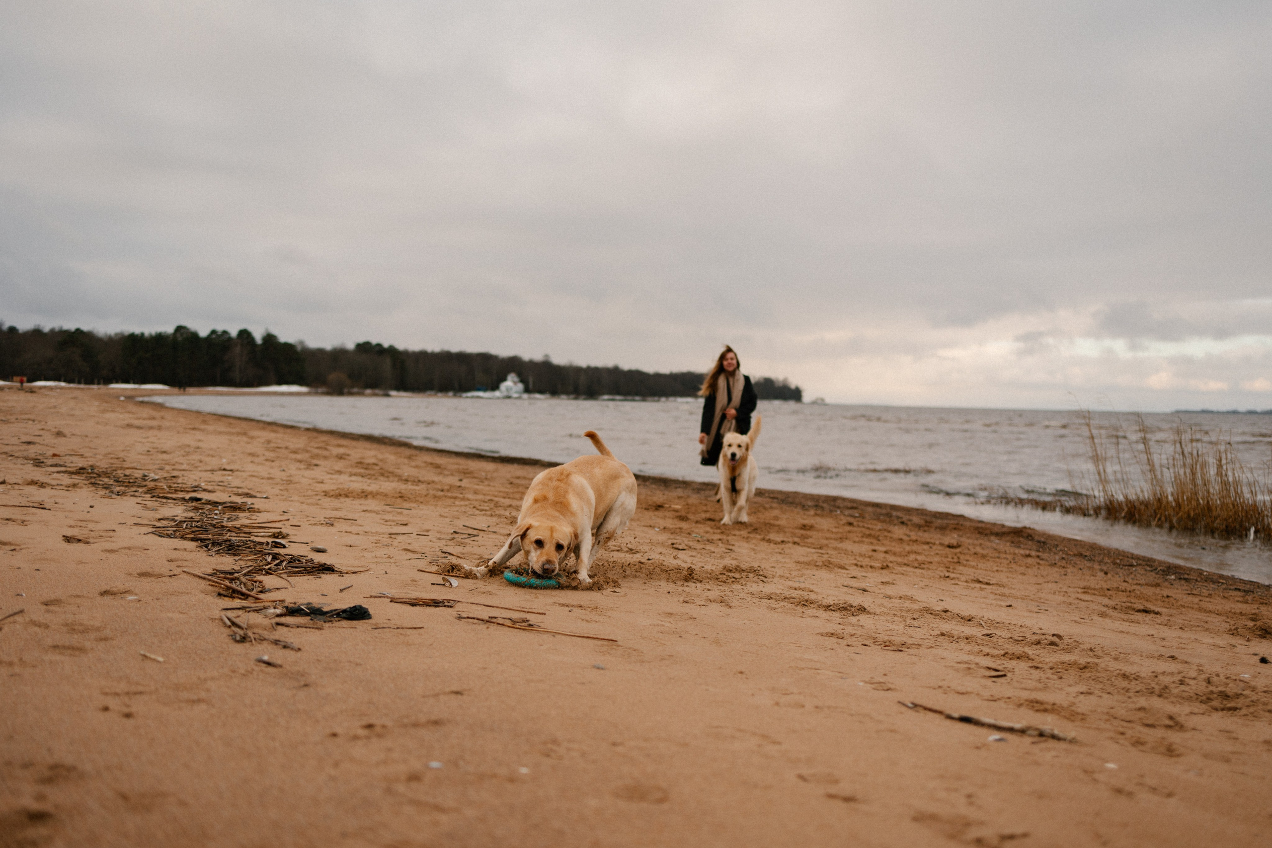 Ирина и Бася. Фотограф — Анималист | Санкт-Петербург