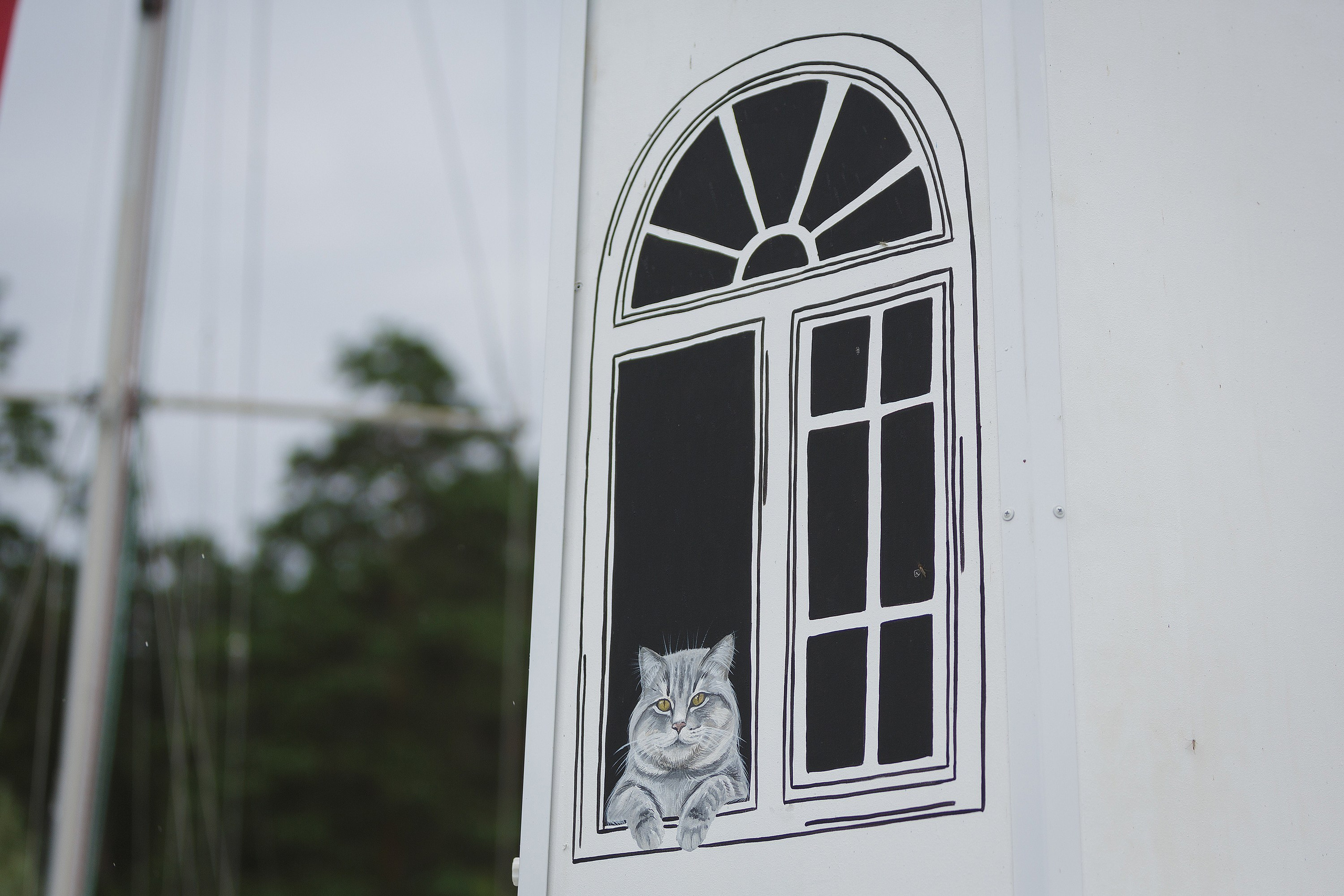 ЯХТИНГ. Roman Photo