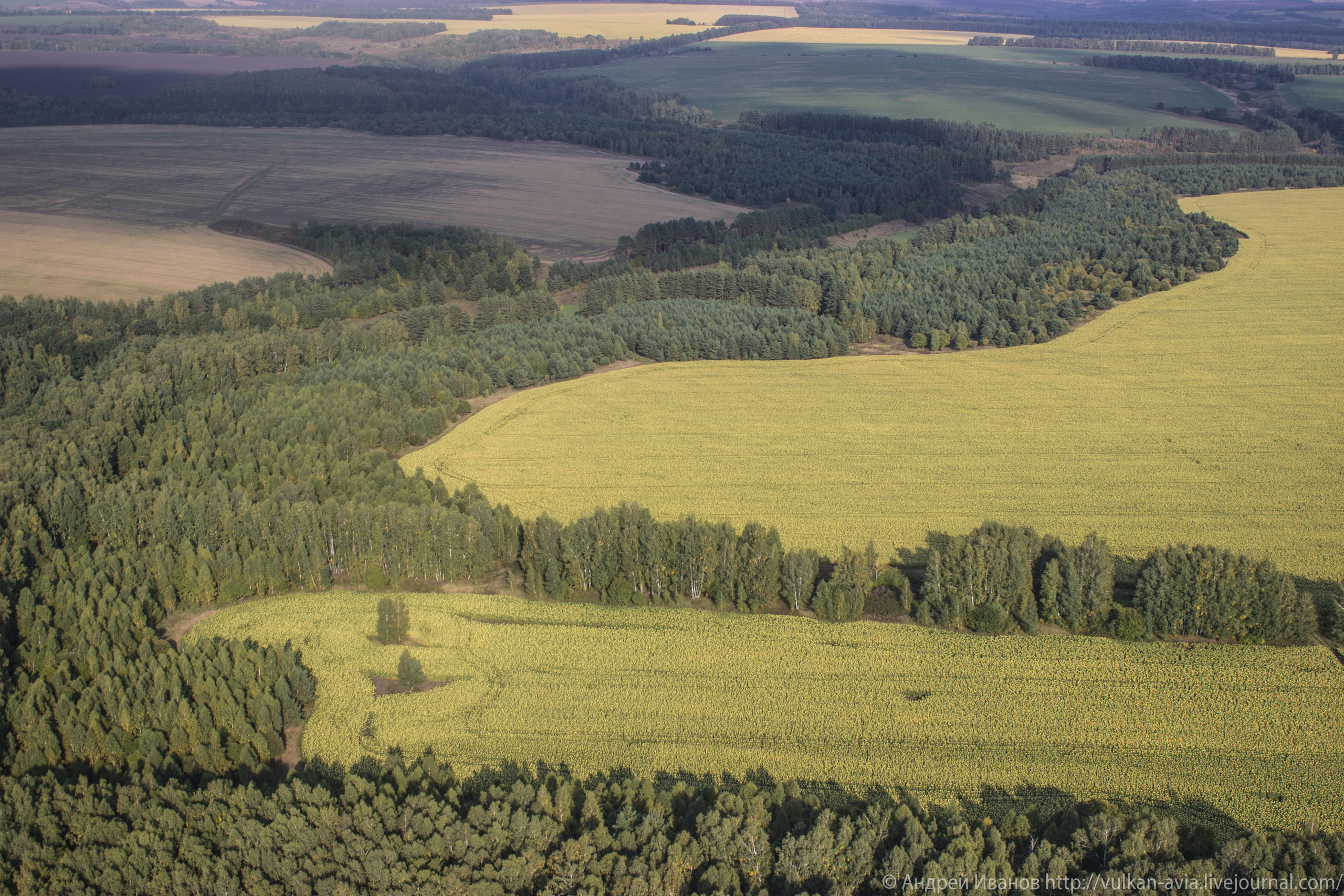 Волгодонск аэр. Потапов слёт «Небо для всех» (2021 г.). Фотоальбом показывающий увлекательный мир авиации и мир медведей Андрея Иванова