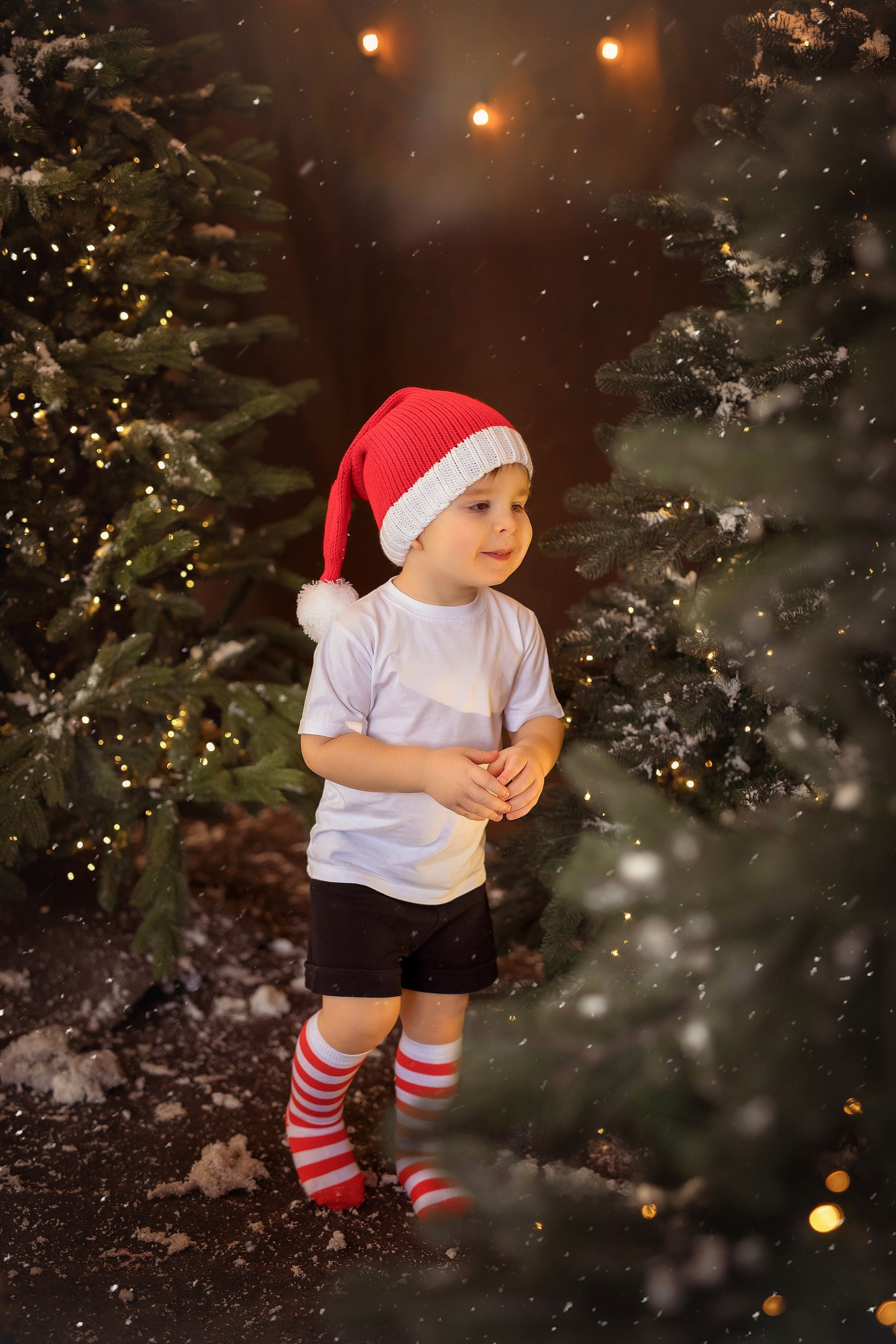 Семейная История. Фотограф на крещение и венчание