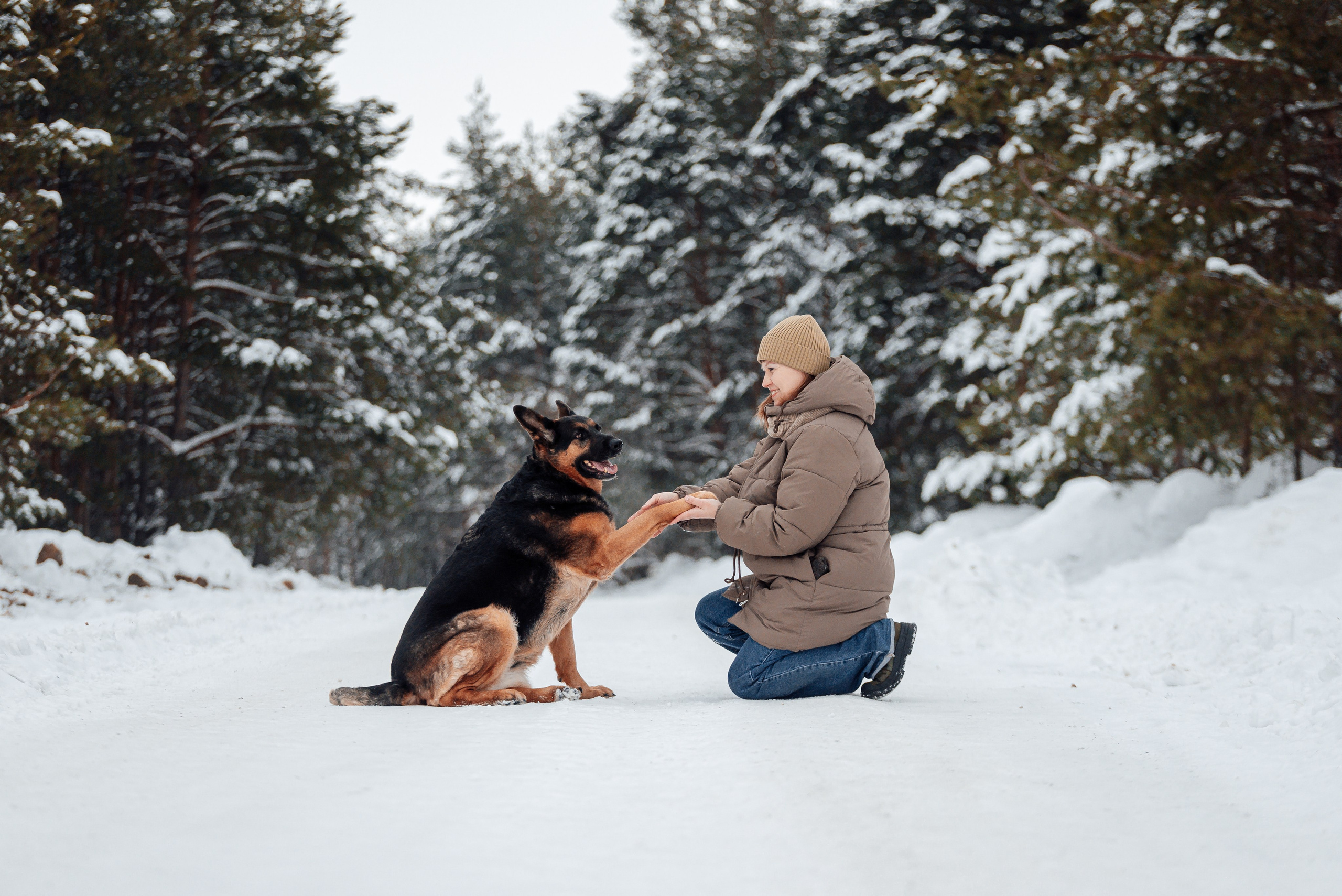 Светлана, Альфа и кошки ✨. Фотограф-анималист Анастасия Парфенова|Екатеринбург