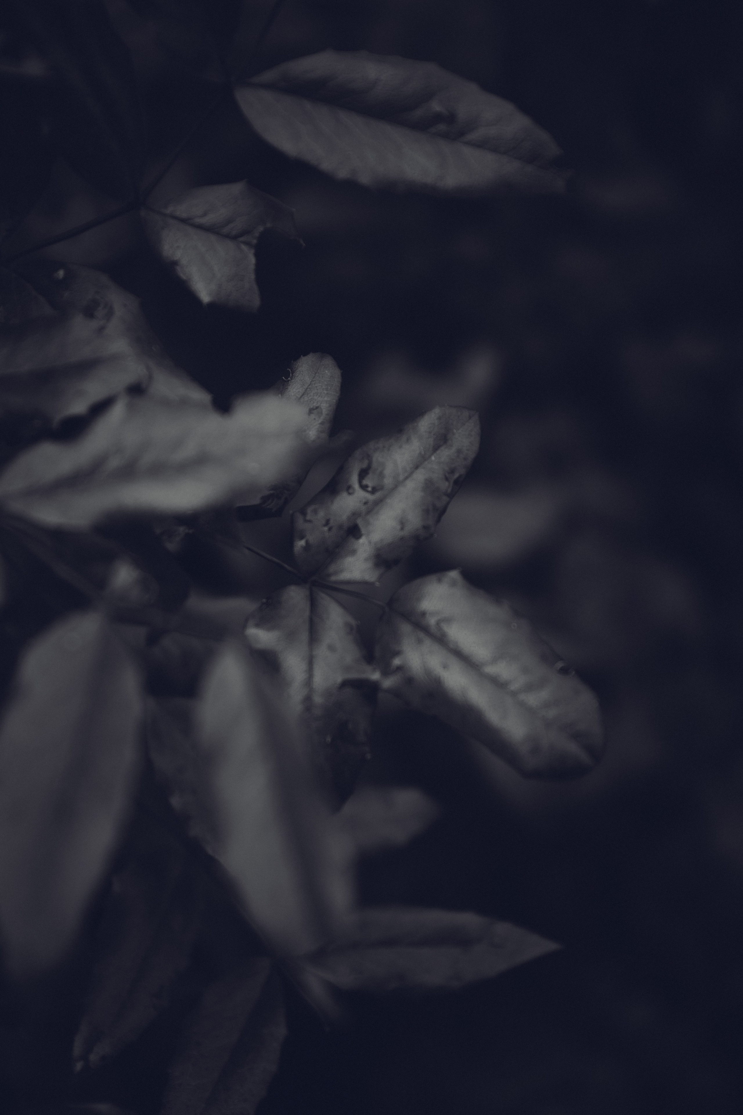 Фотограф Калининград Илья Миллер