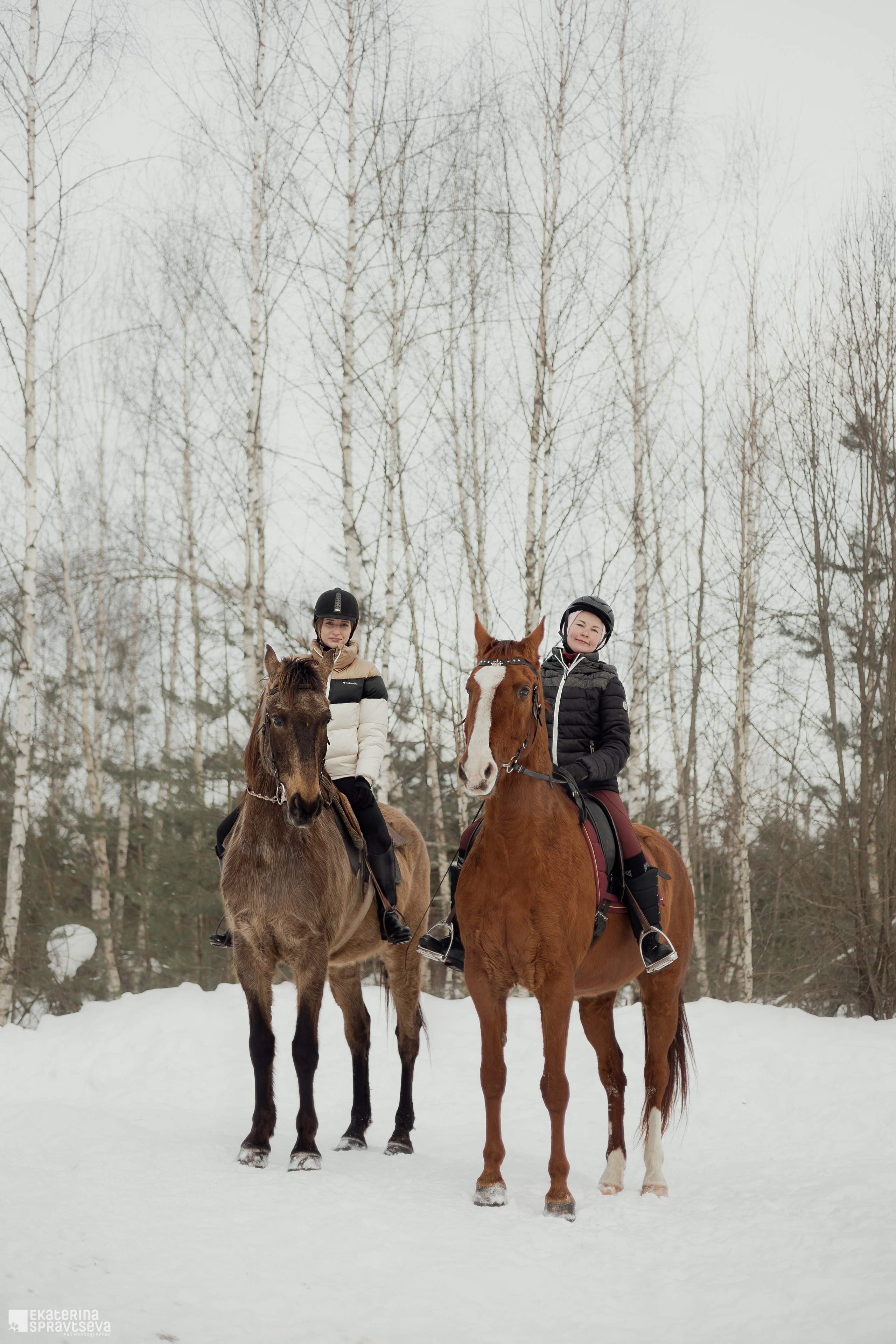 Среди грив и копыт. Фотограф Анималист Екатерина Справцева в Нижнем Новгороде