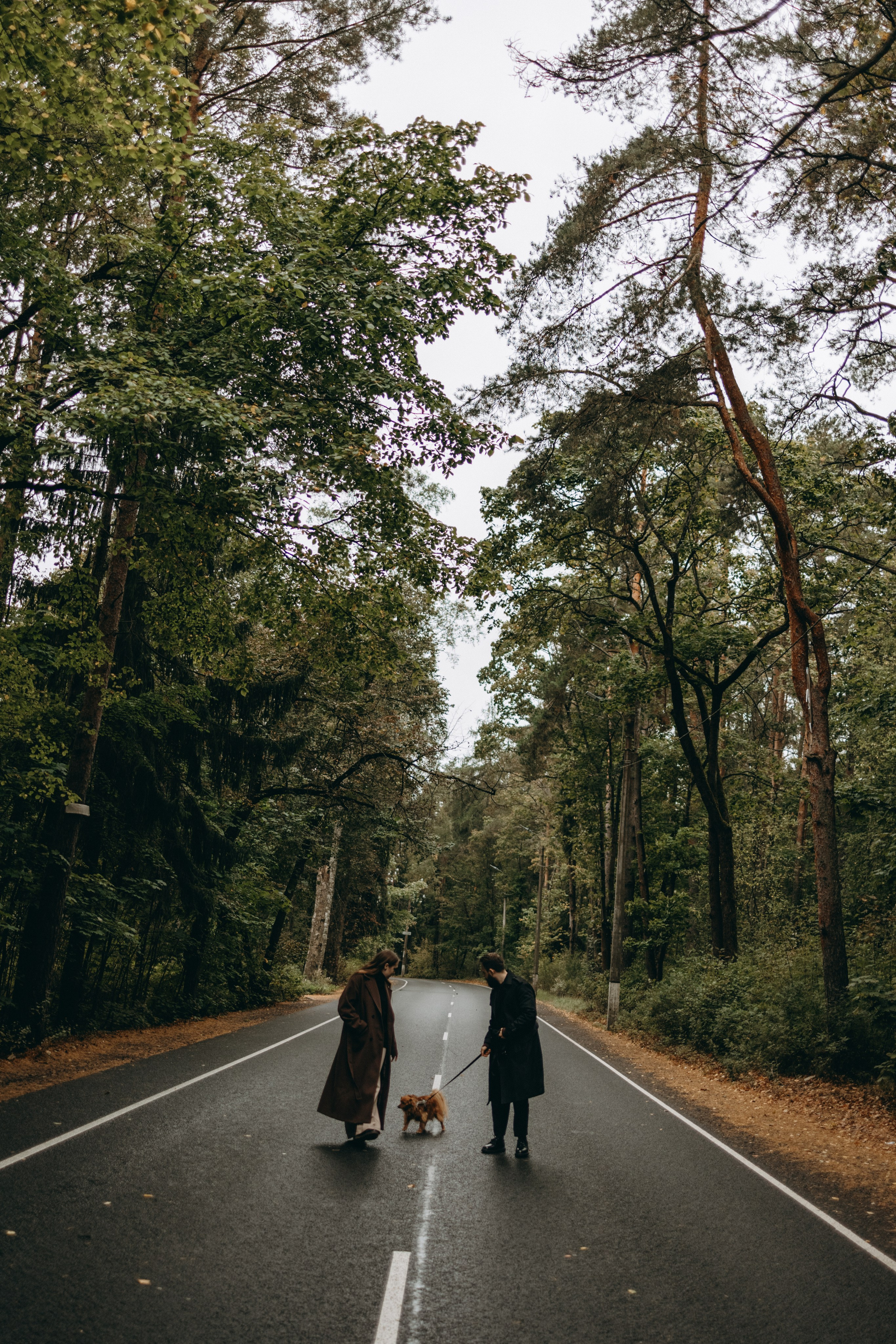 Жу и ее семья. Фотограф — Анималист | Санкт-Петербург