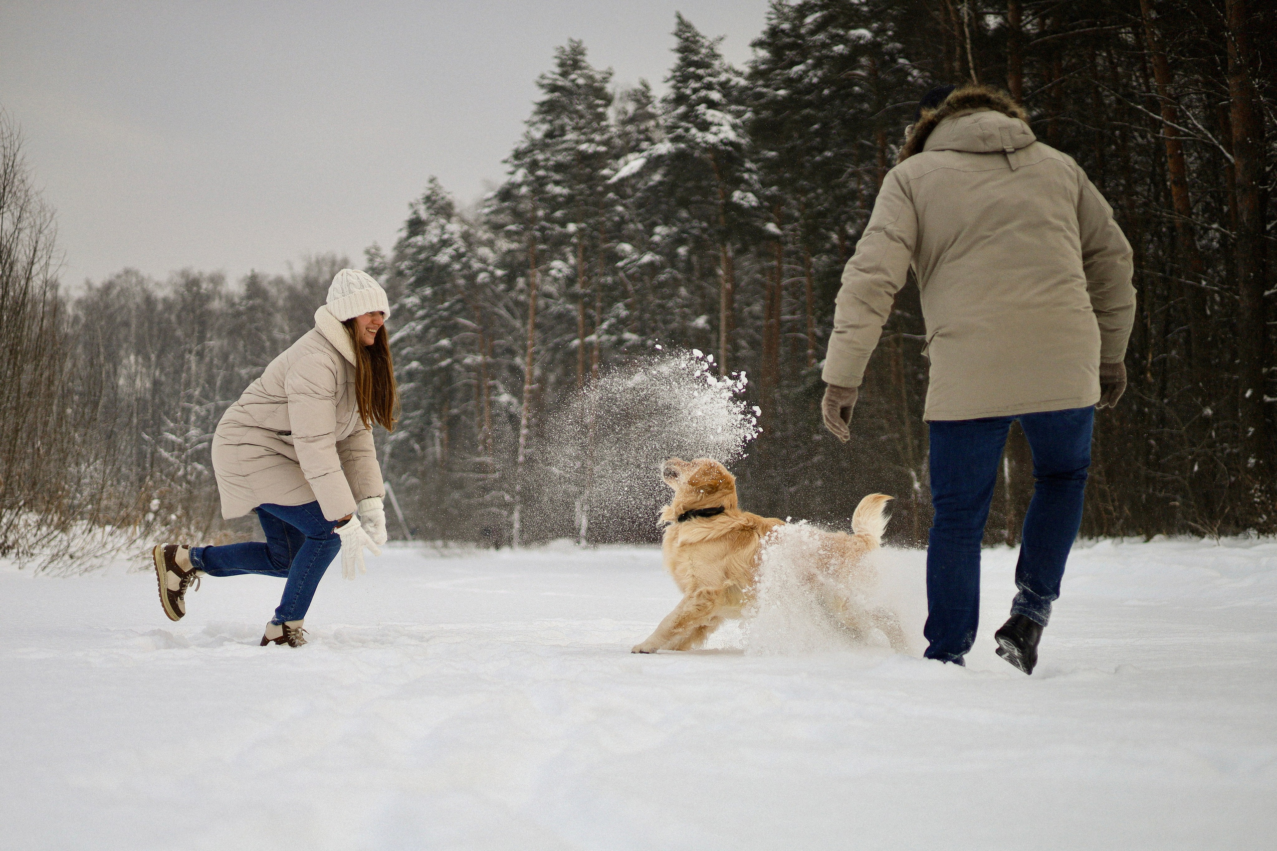 Стивен, Лена и Миша. Фотограф-анималист Ксения Шевцова|Москва