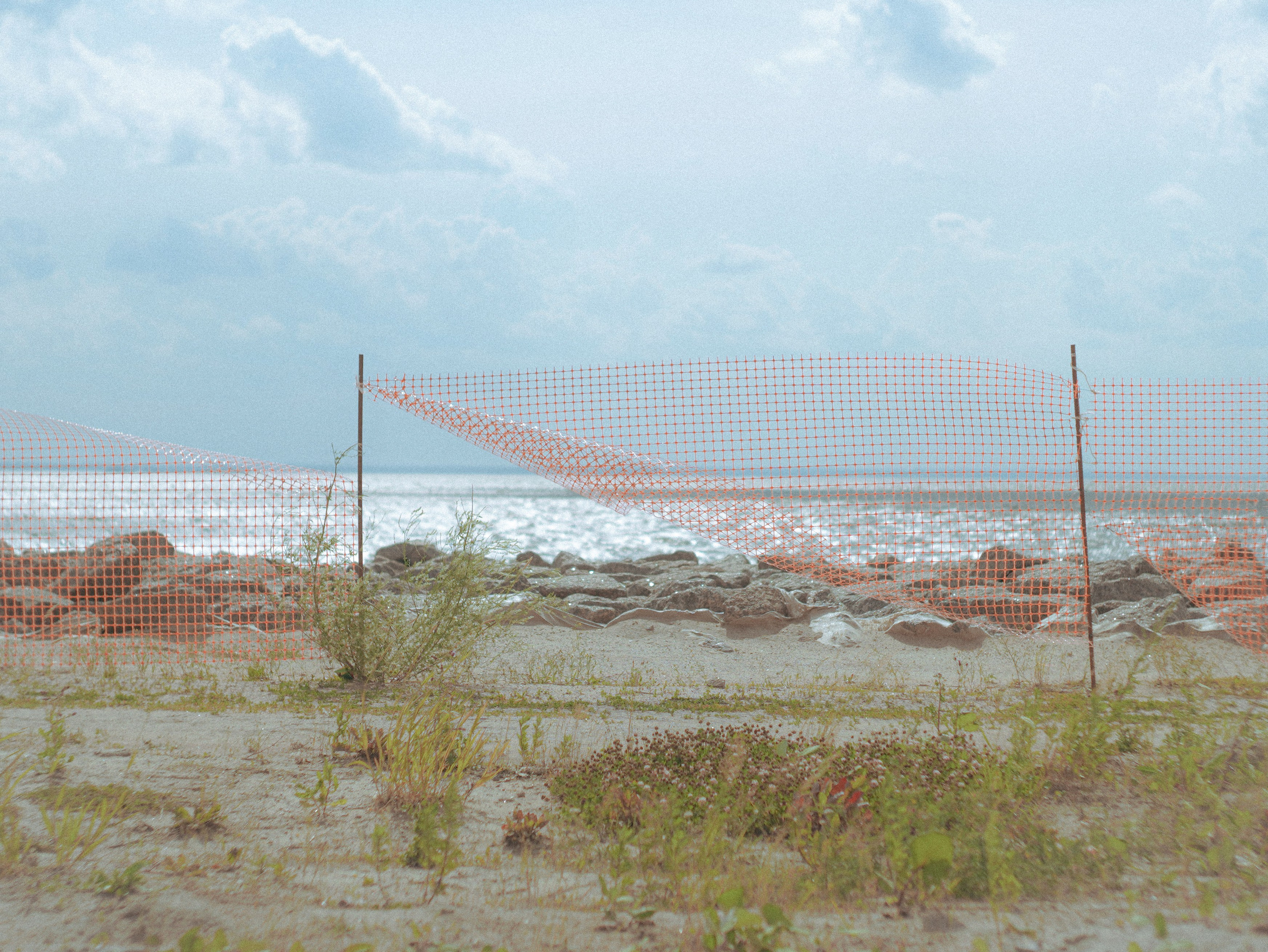 РОМА. M8U — фотограф Санкт-Петербург