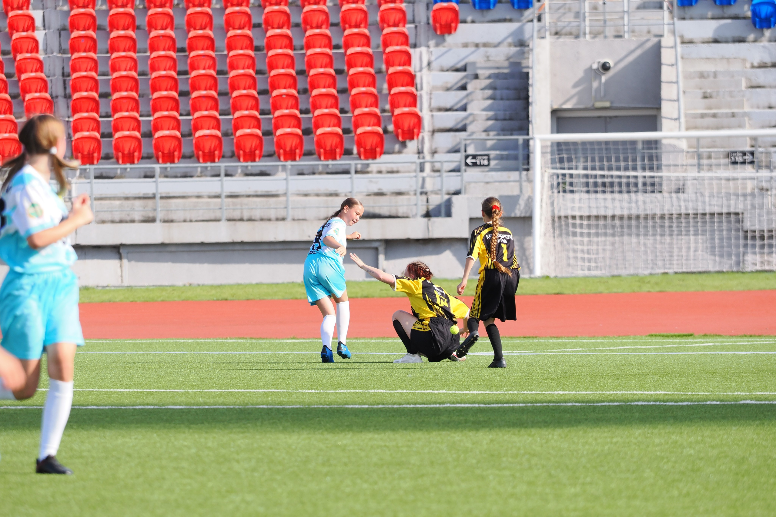 Всероссийские соревнования по русской лапте. Репортажный фотограф Алексей Козьмин